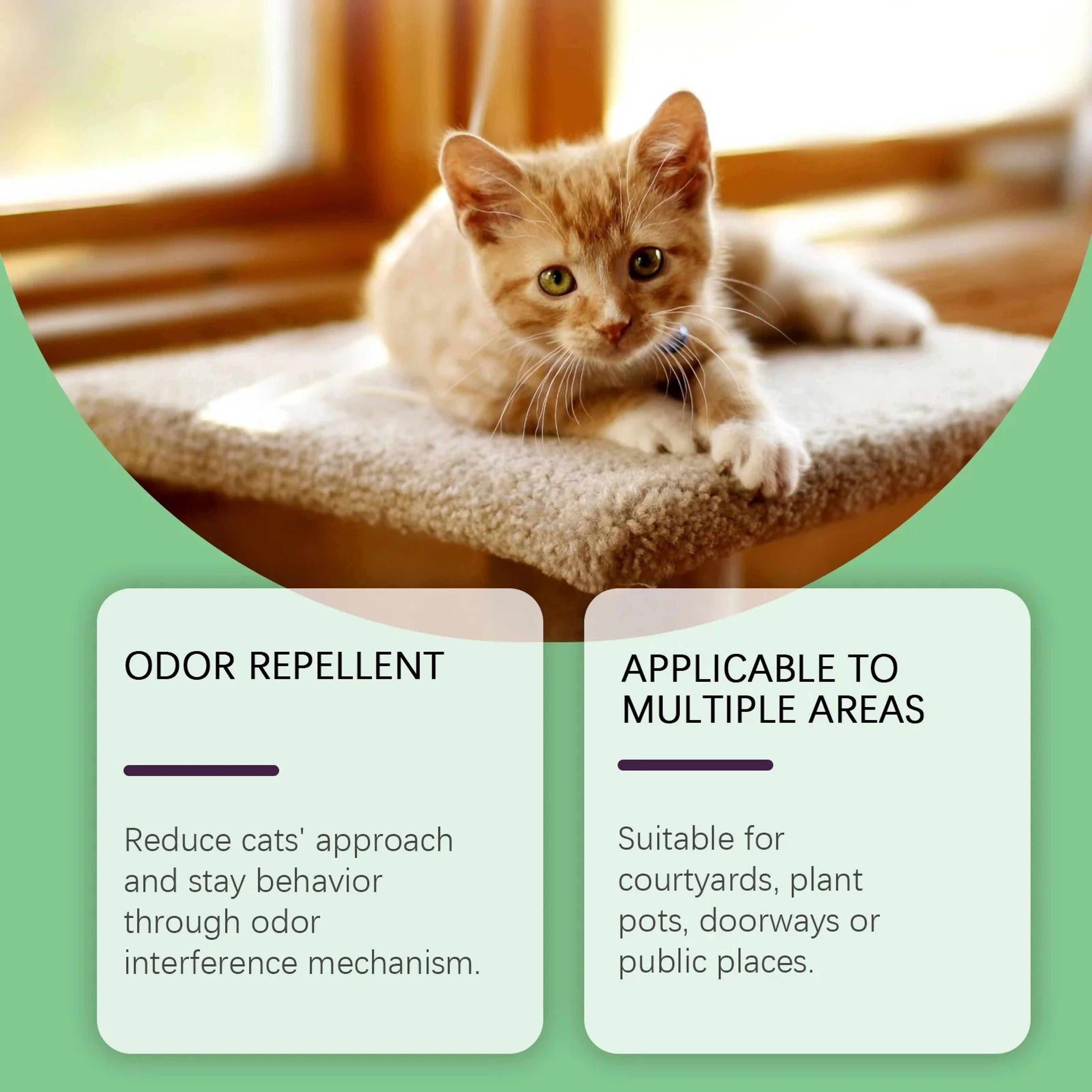 Convenient Pet Repellent Pills 2
