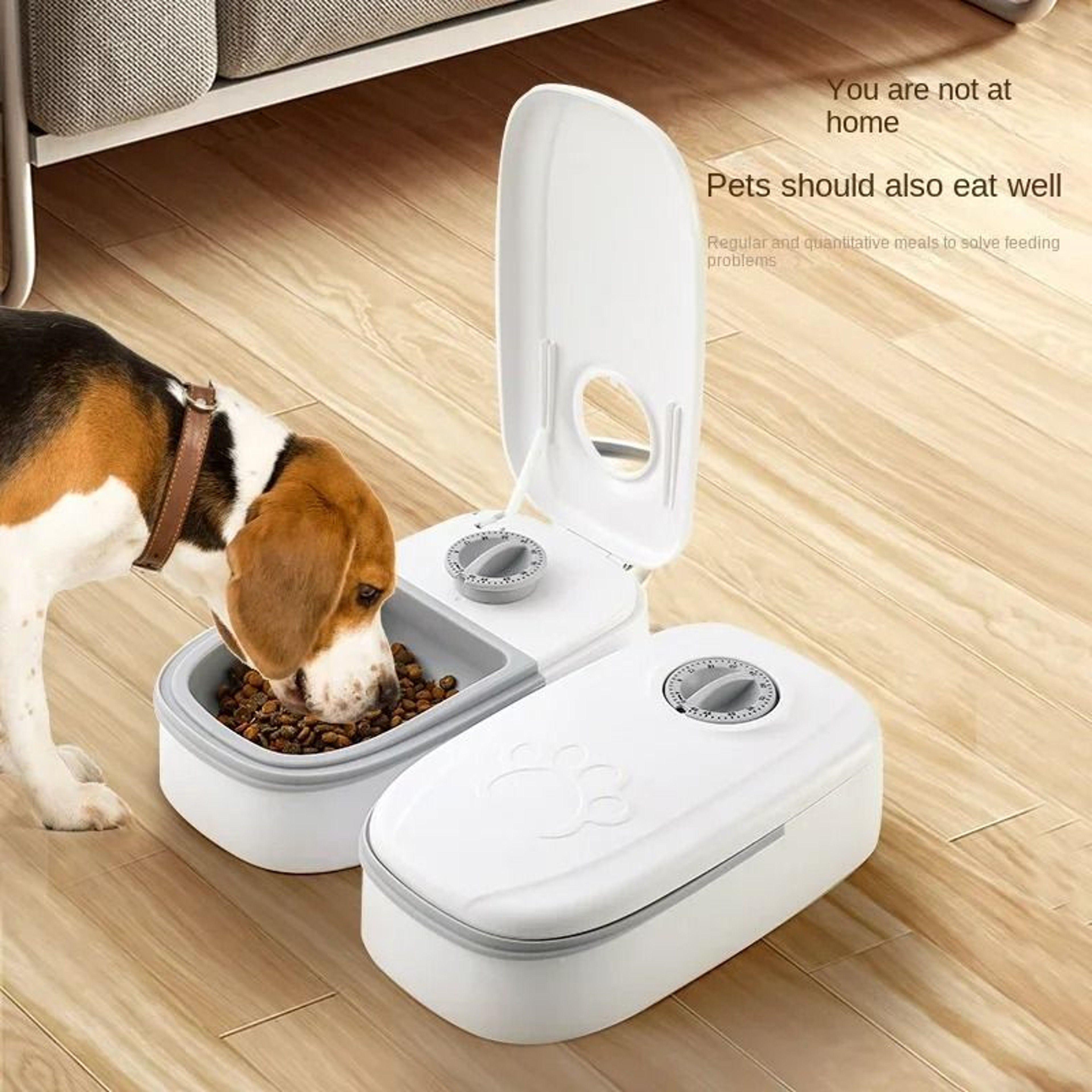 Timed Automatic Pet Feeder  Waterer Set 0