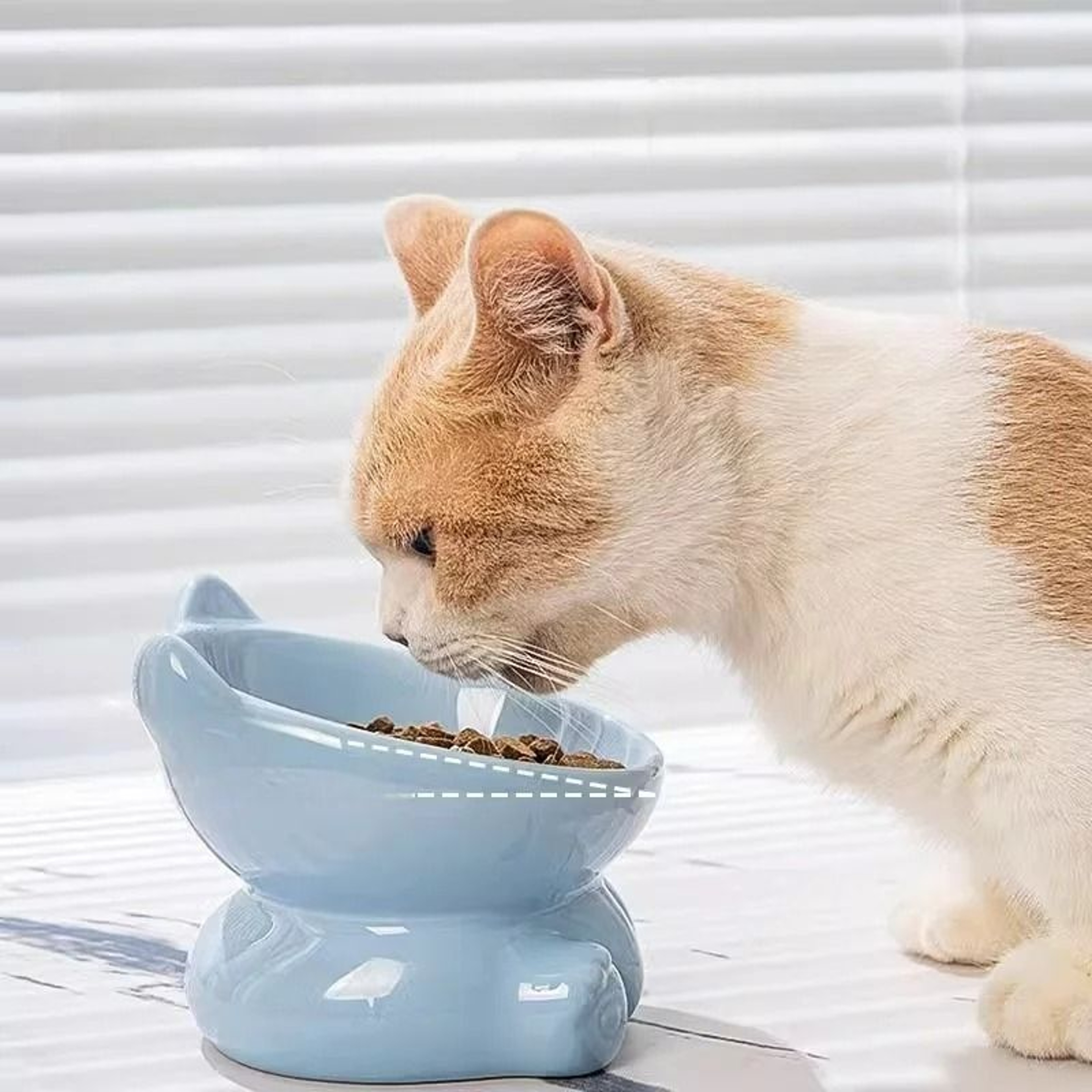 Ergonomic Diagonal Ceramic Pet Bowl 2