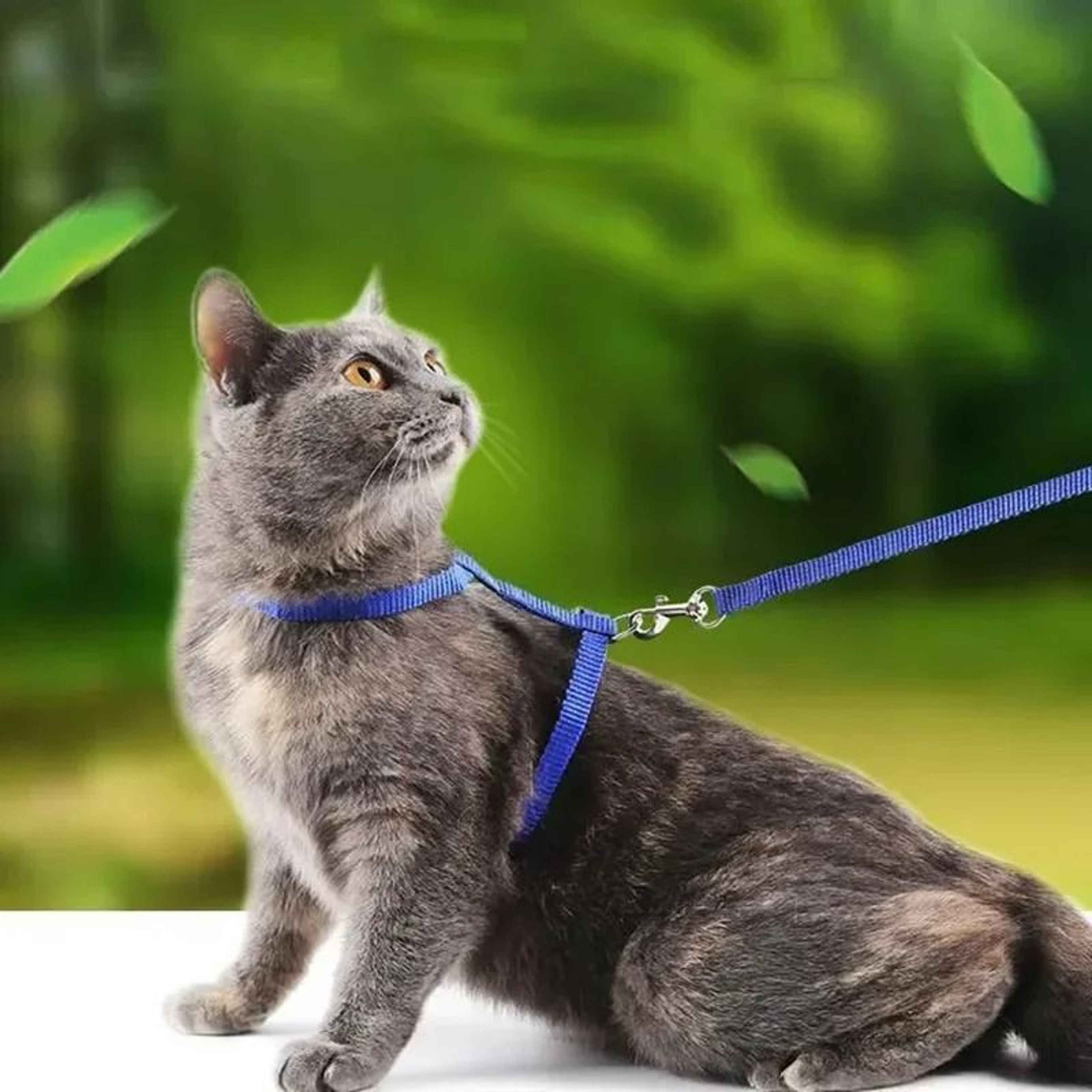 EscapeProof HShape Cat  Puppy Harness Set 0