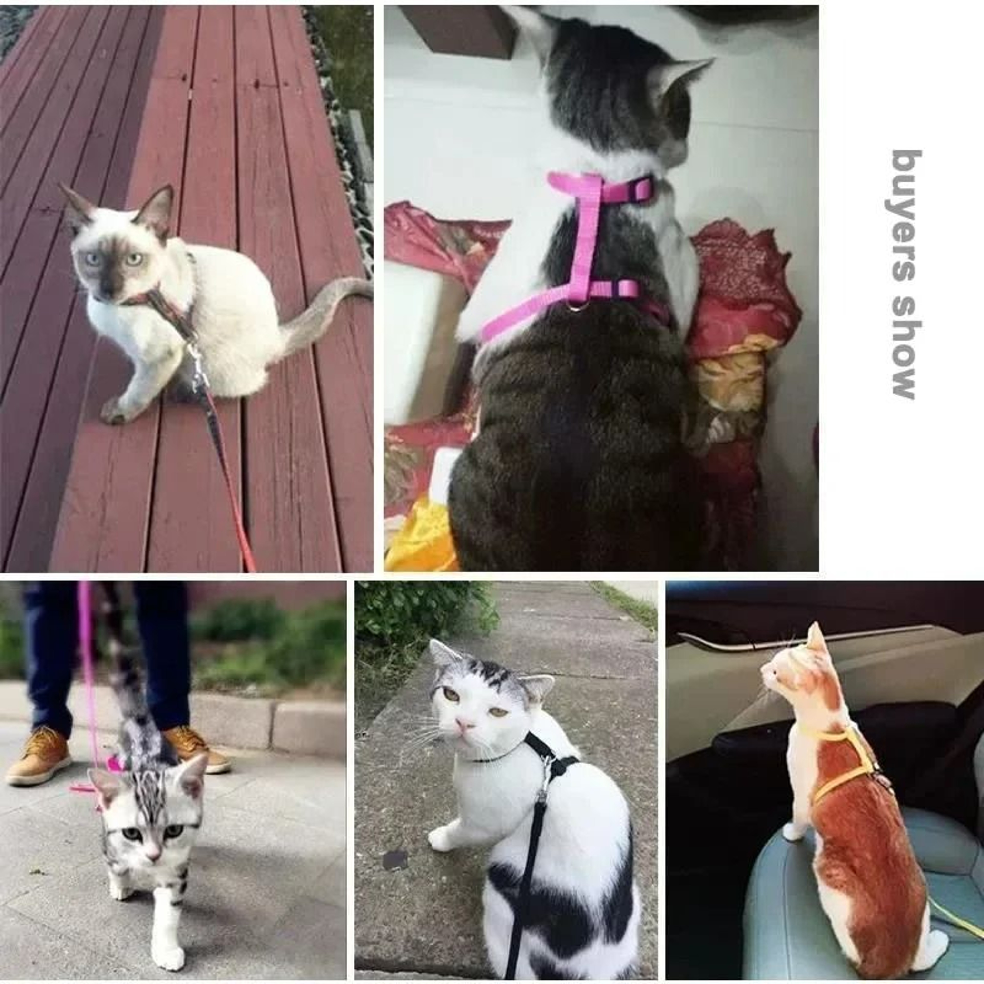 EscapeProof HShape Cat  Puppy Harness Set 5