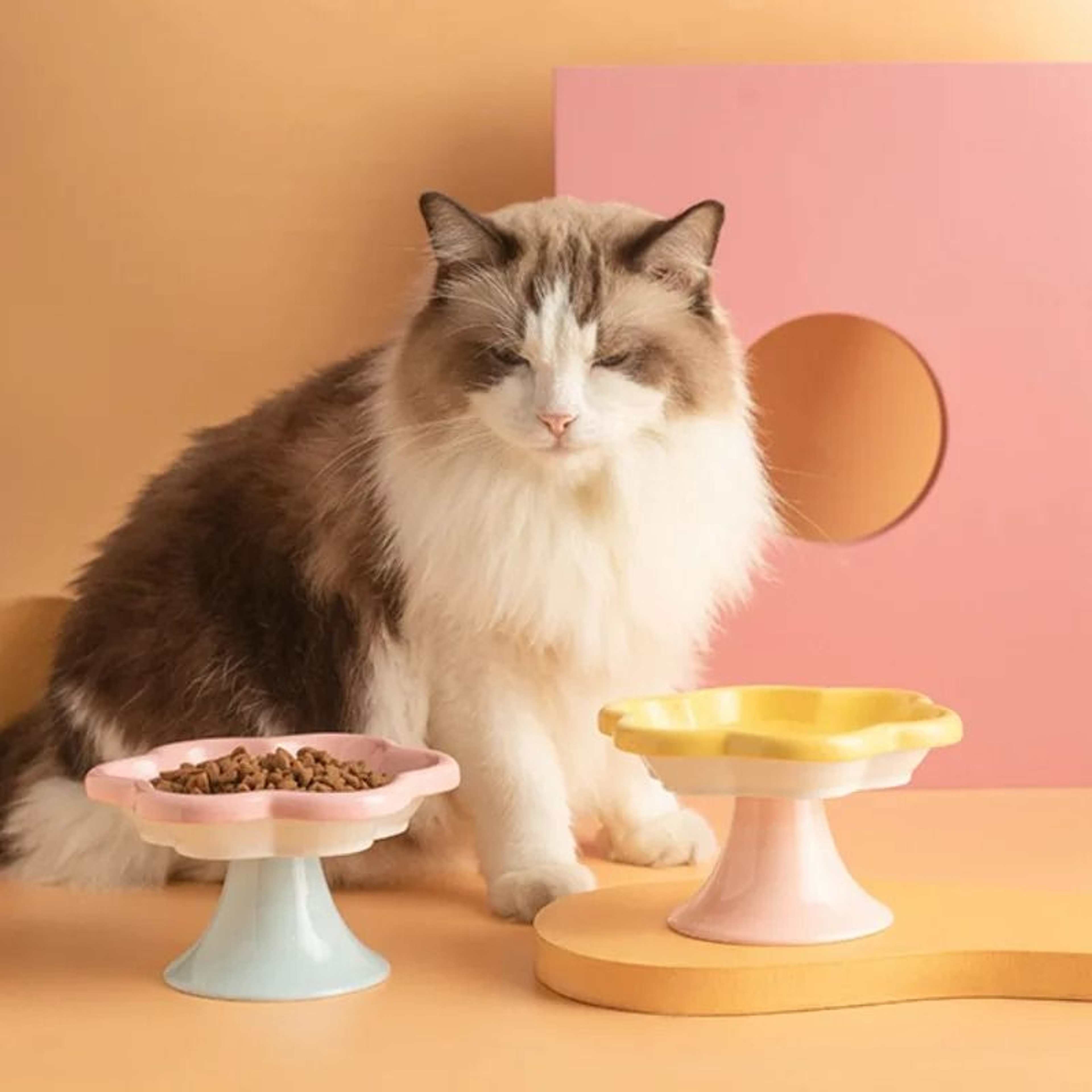 FlowerInspired Elevated Ceramic Pet Bowl 2