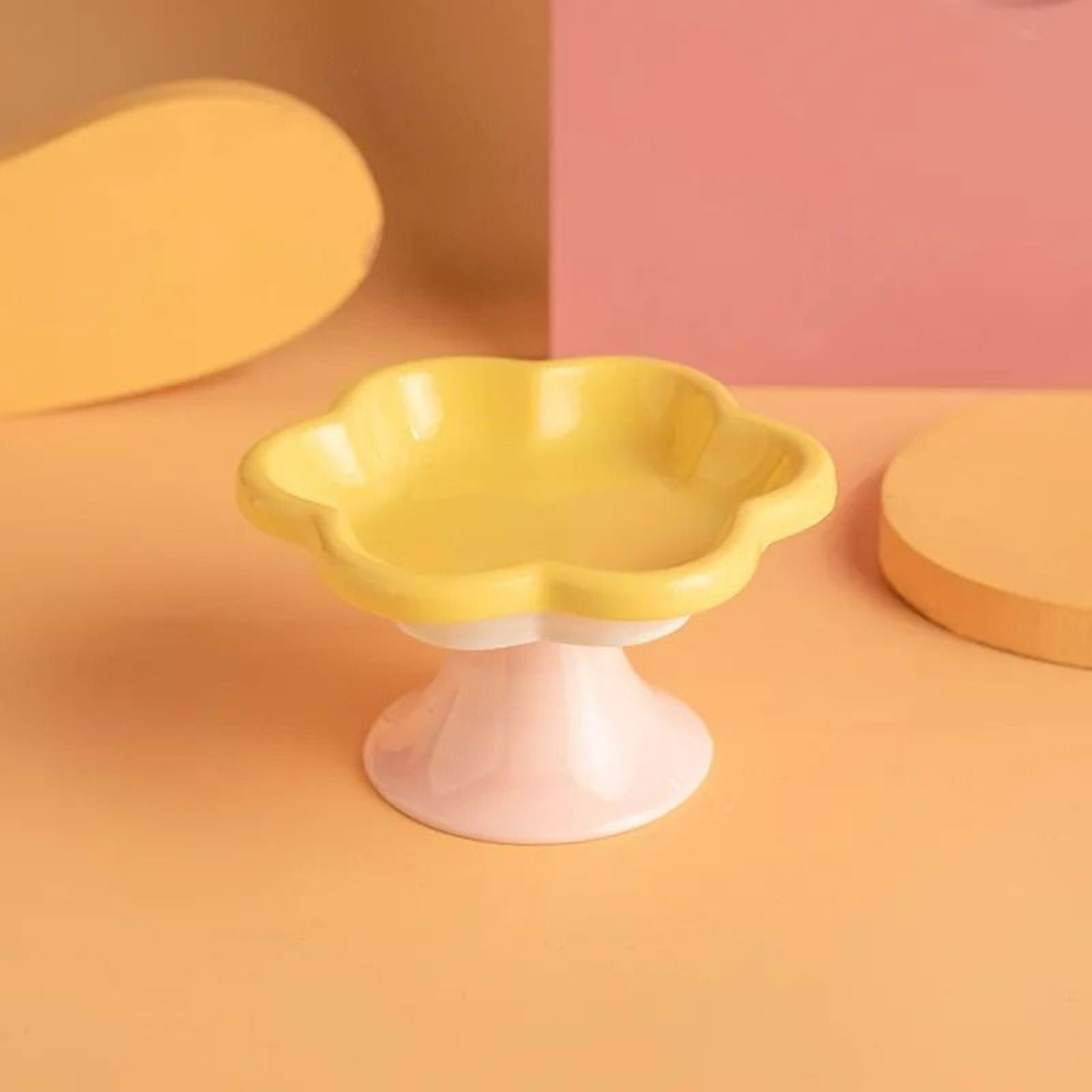 FlowerInspired Elevated Ceramic Pet Bowl 6