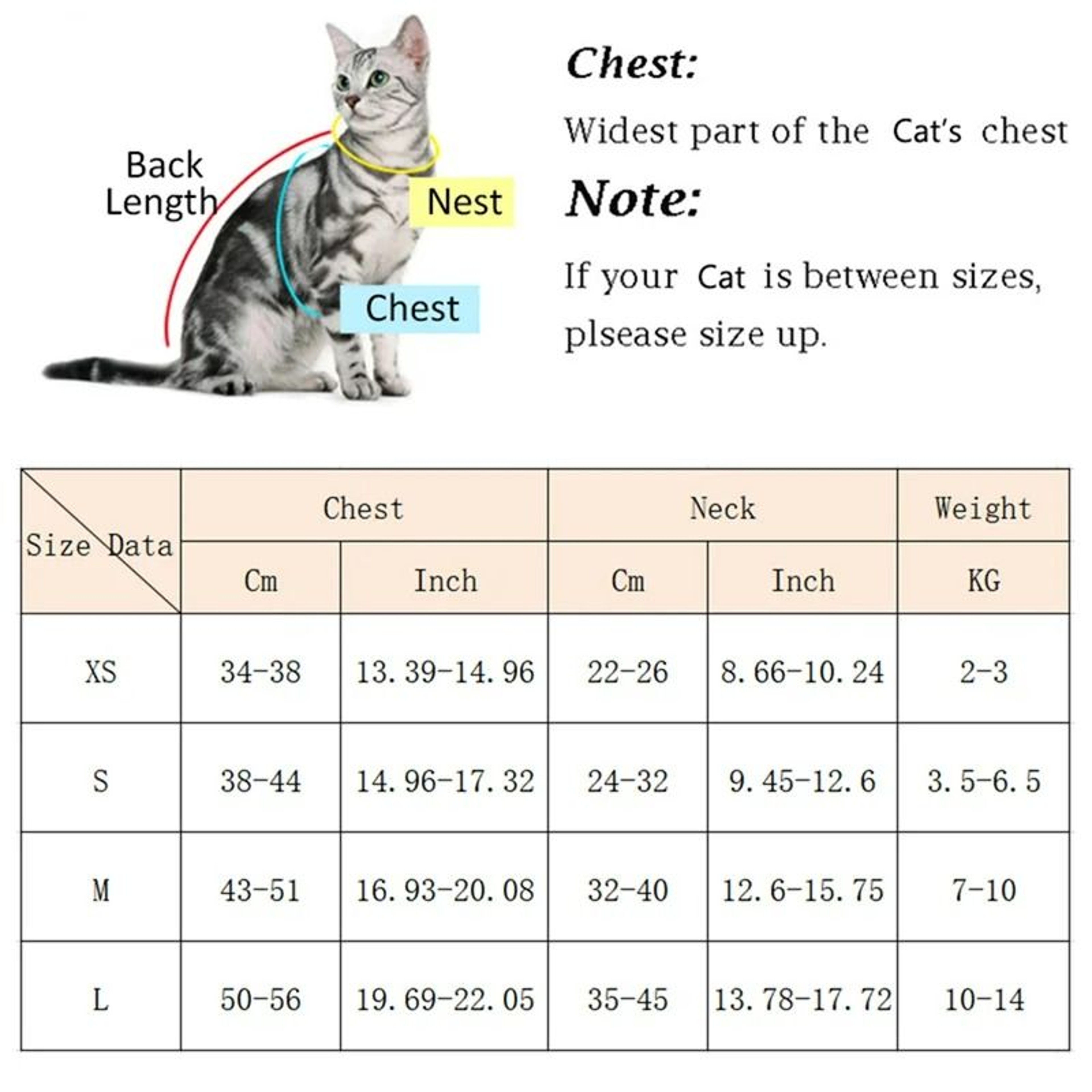 Breathable Fashion Mesh Cat  Puppy Harness Set 1