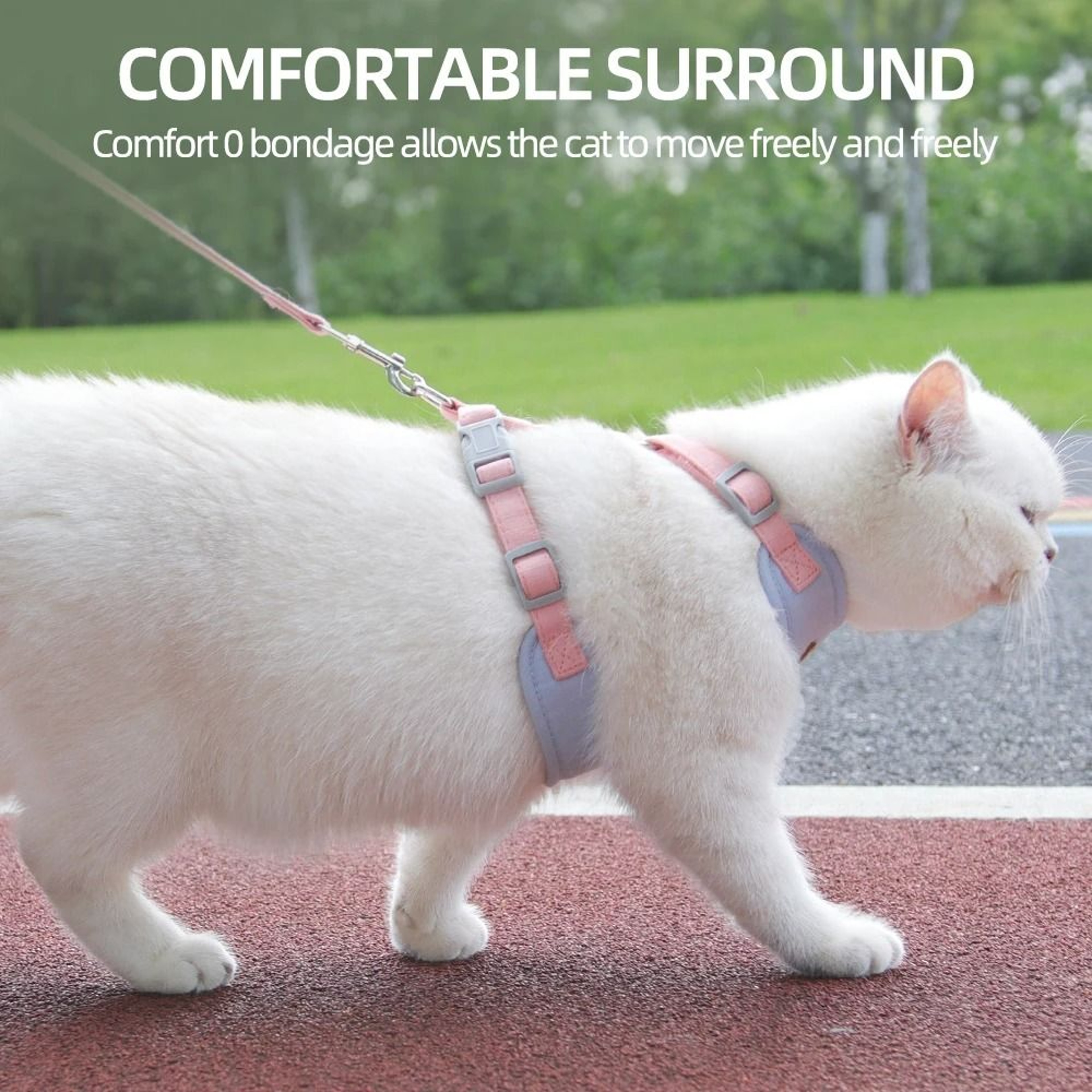 Breathable Fashion Mesh Cat  Puppy Harness Set 3