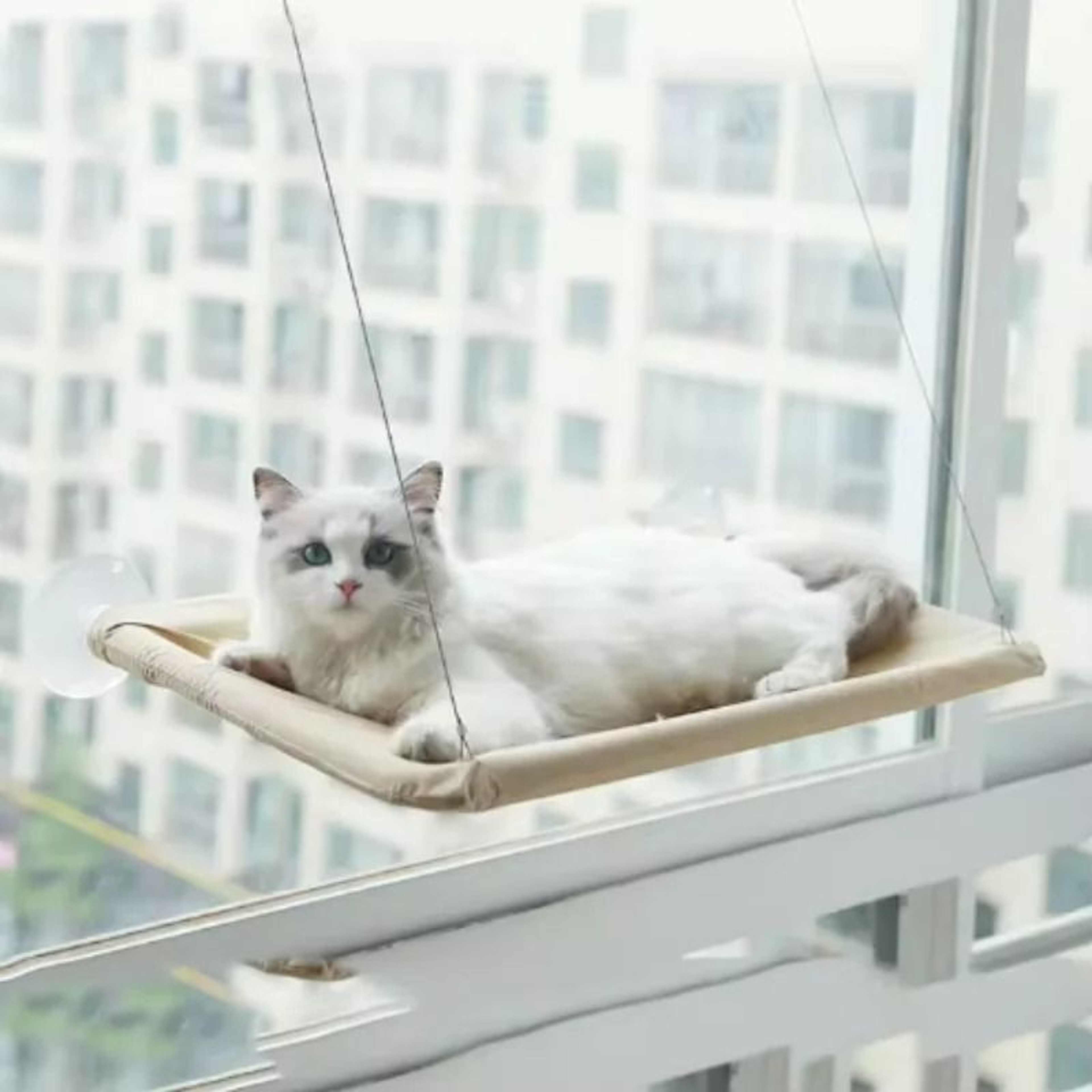 Sunny WindowMounted Cat Hammock  Safety Lounge 4