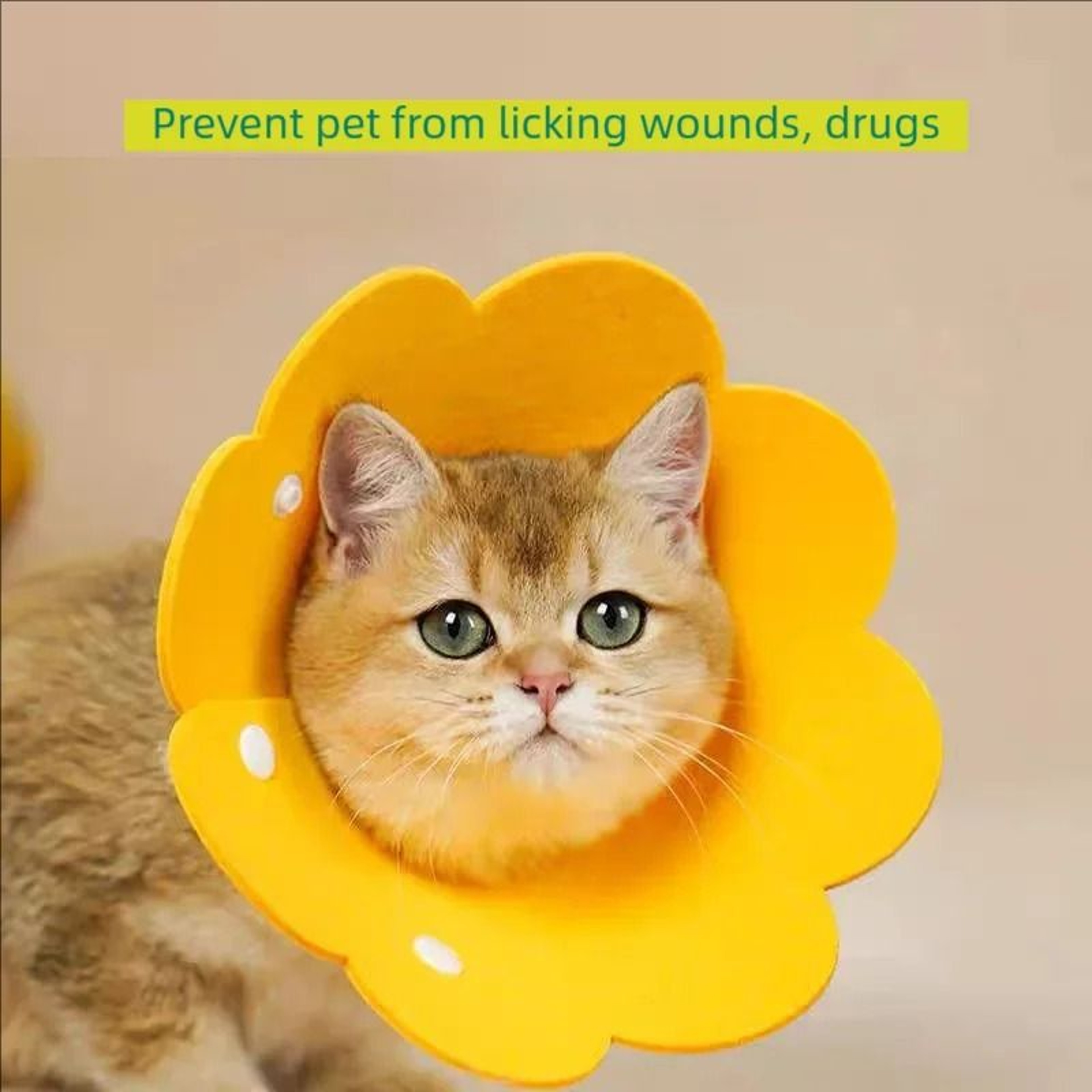 SoftEdge Pet Recovery Cone  Surgical Wound Protector 3