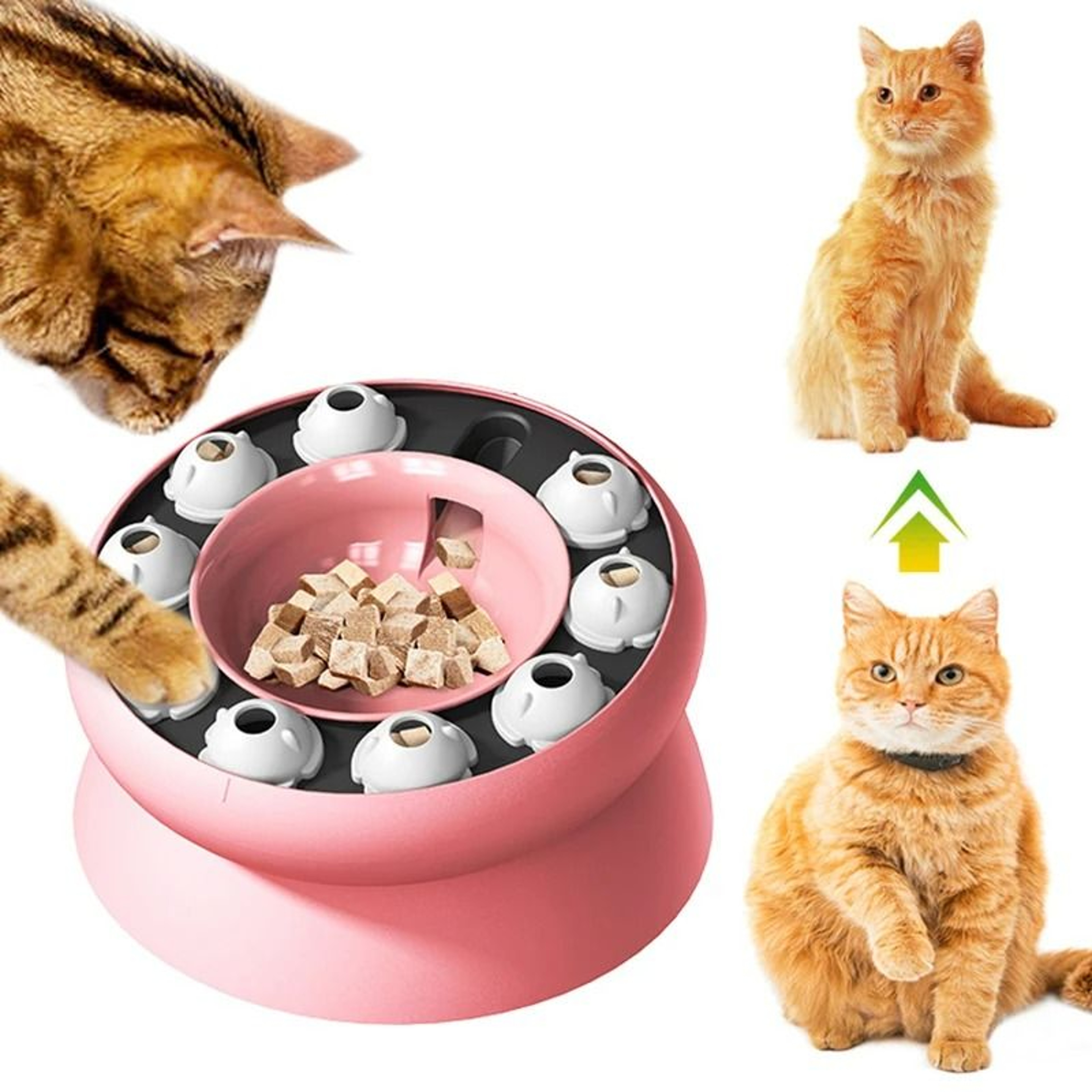 2in1 Interactive Puzzle Feeder  Slow Food Bowl 0