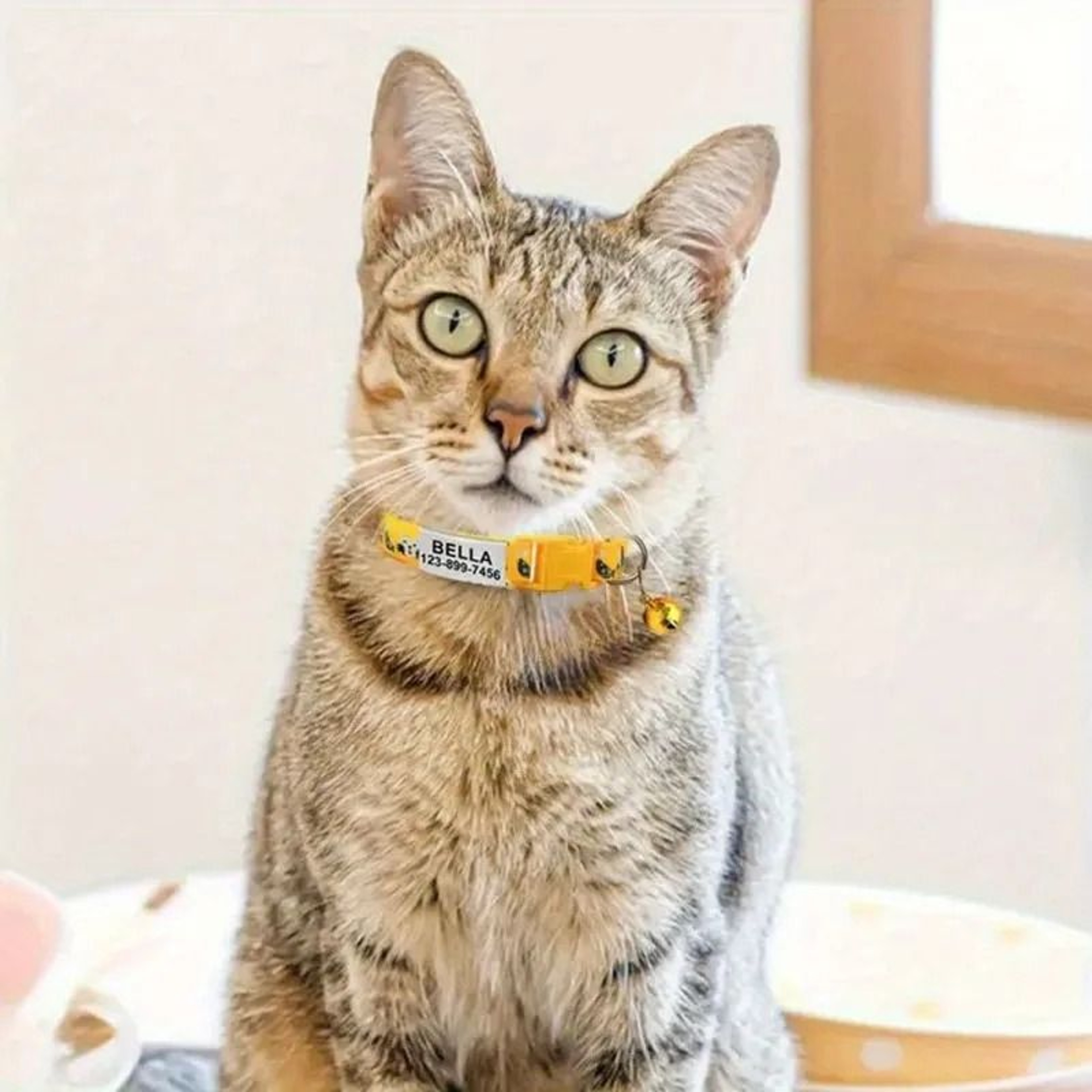 Personalized Safety ID Collar With Bell  Engraved Plate 4