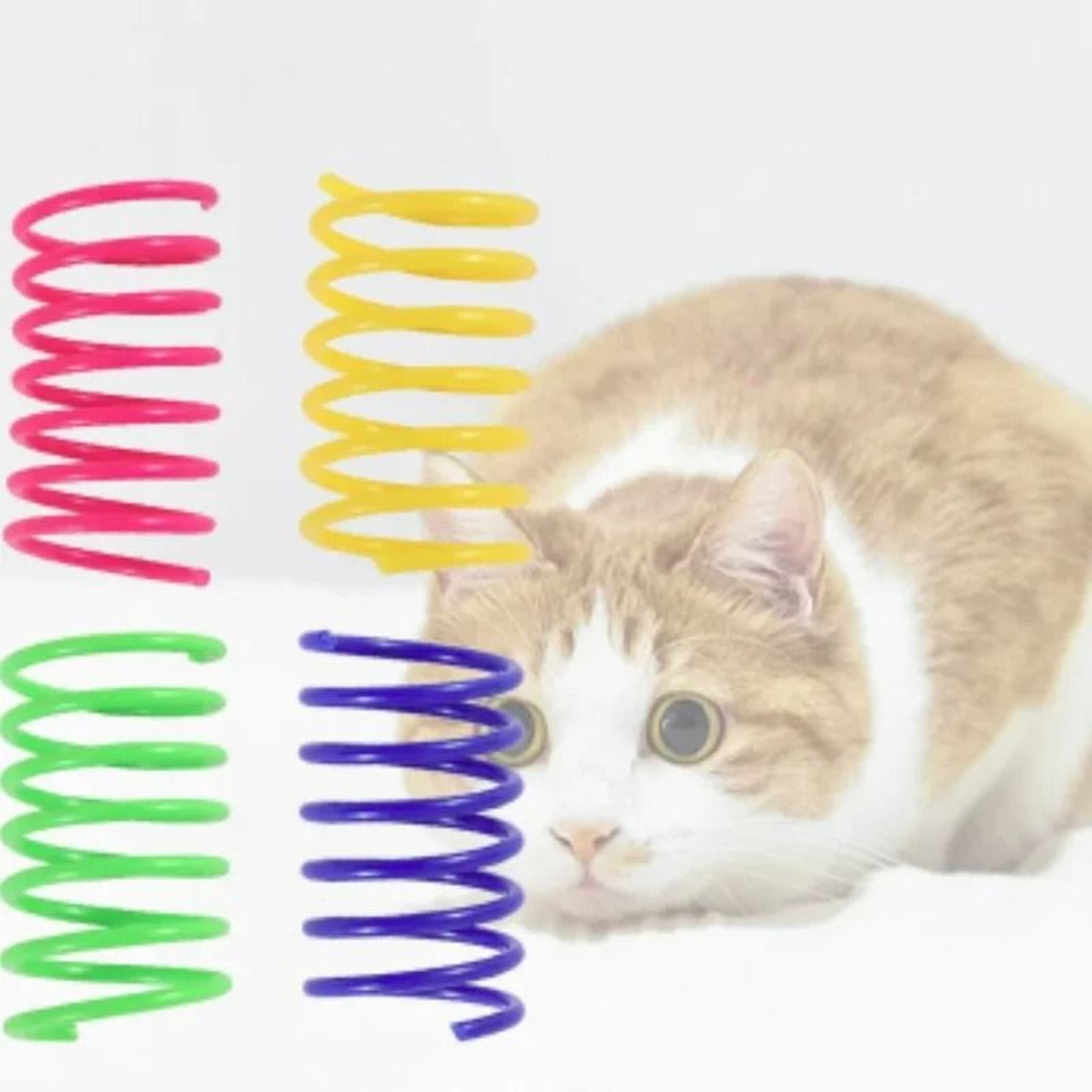 Elite 200Piece Bulk Interactive Cat Spring Toy Set 4