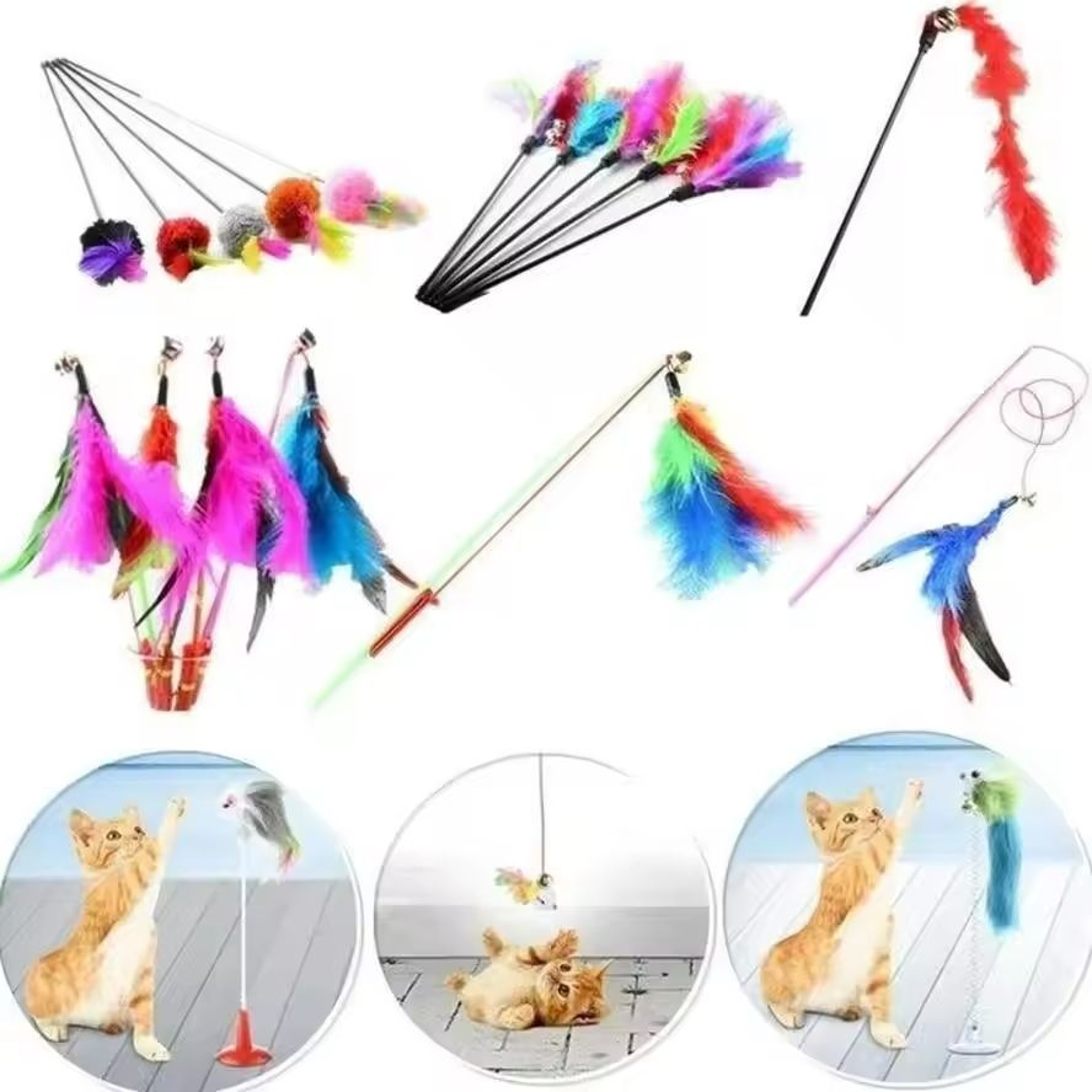 5Piece Turkey Feather Teaser  Wire Chaser Set 5