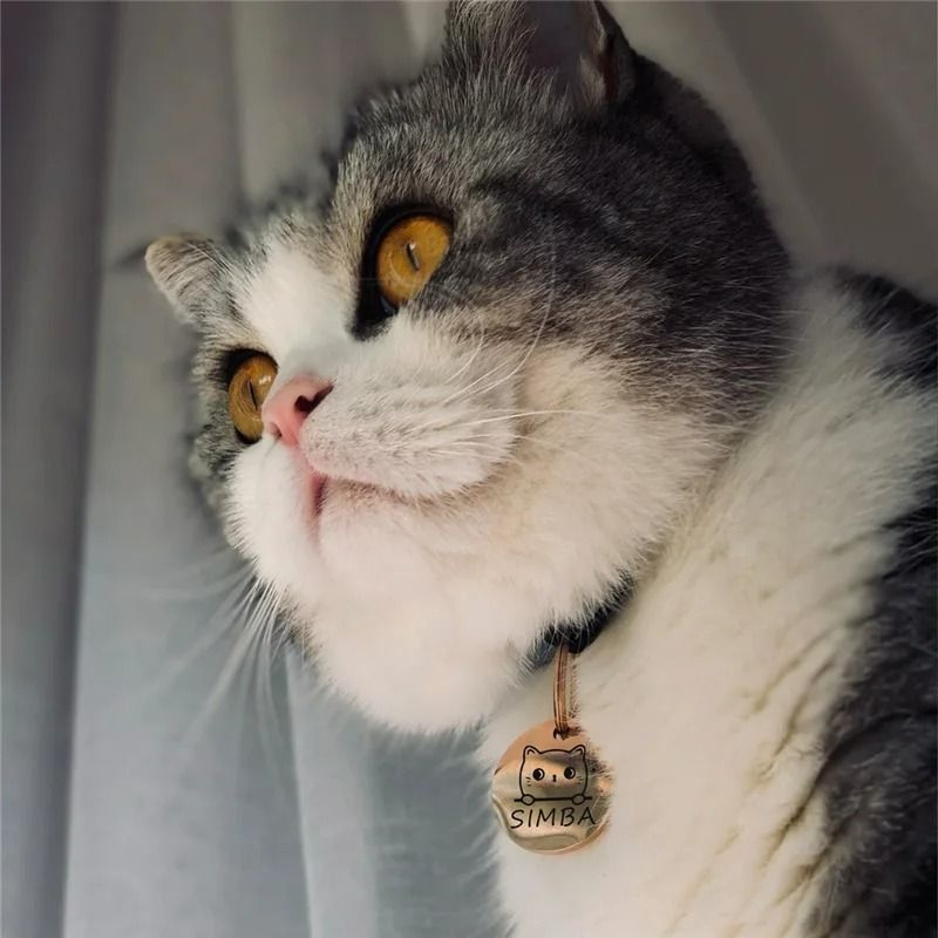 Personalized Cute Cat Face ID Tag Custom Engraved AntiLost Collar Pendant 3