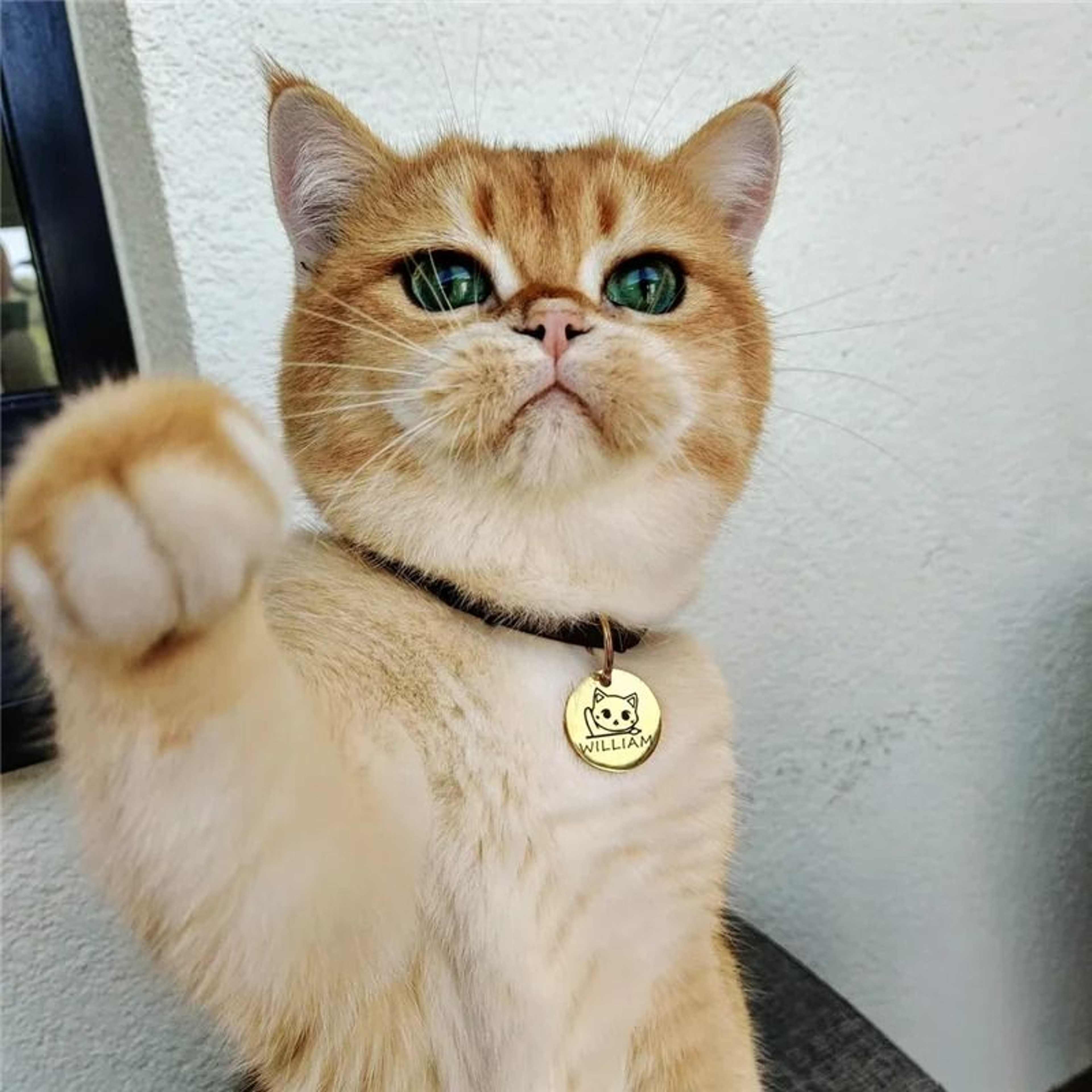 Personalized Cute Cat Face ID Tag Custom Engraved AntiLost Collar Pendant 4