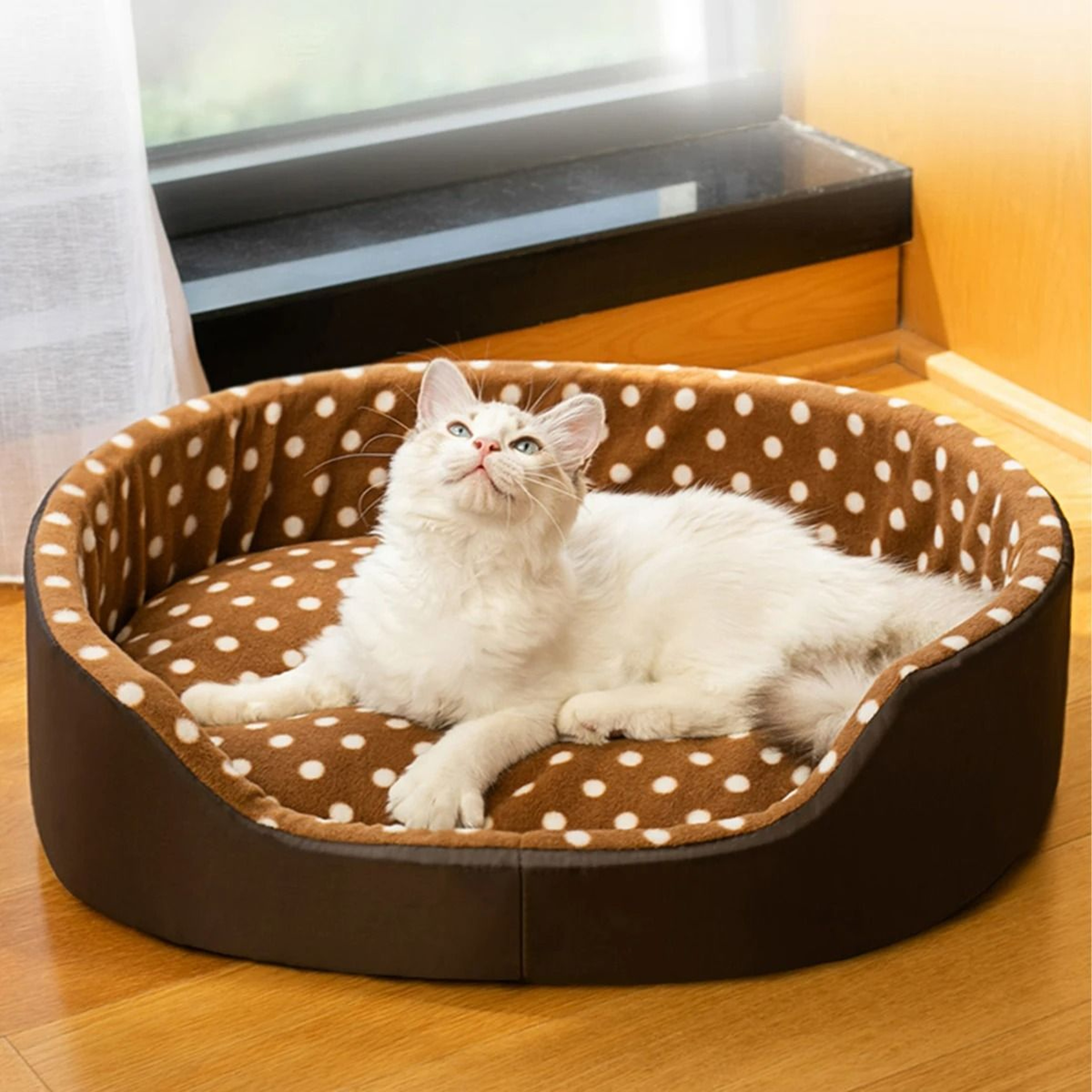 Plush Polka Dot Cat Bed With Support Walls And Padded Cushion 0