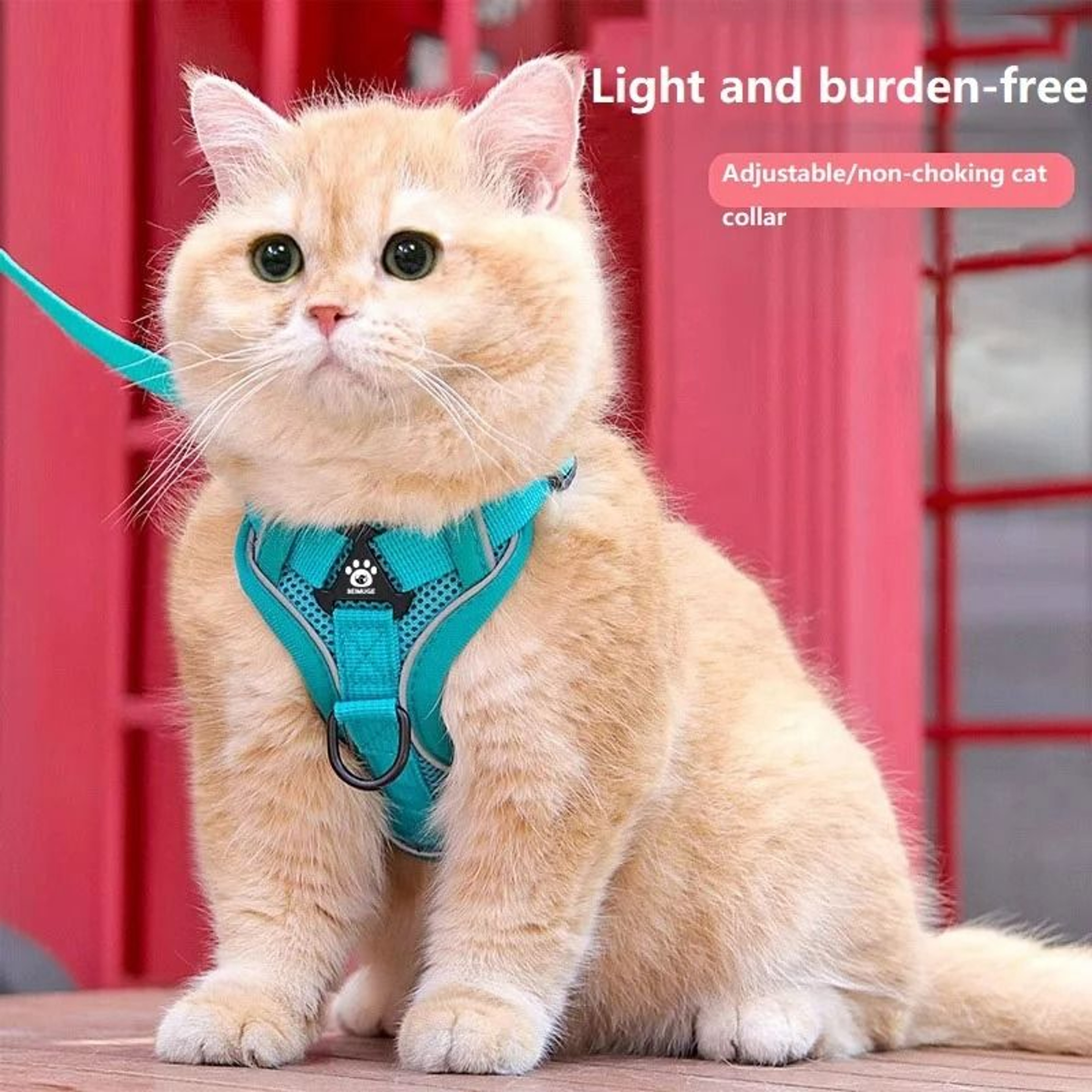 AntiEscape Reflective Mesh Cat Harness And Leash Set 6