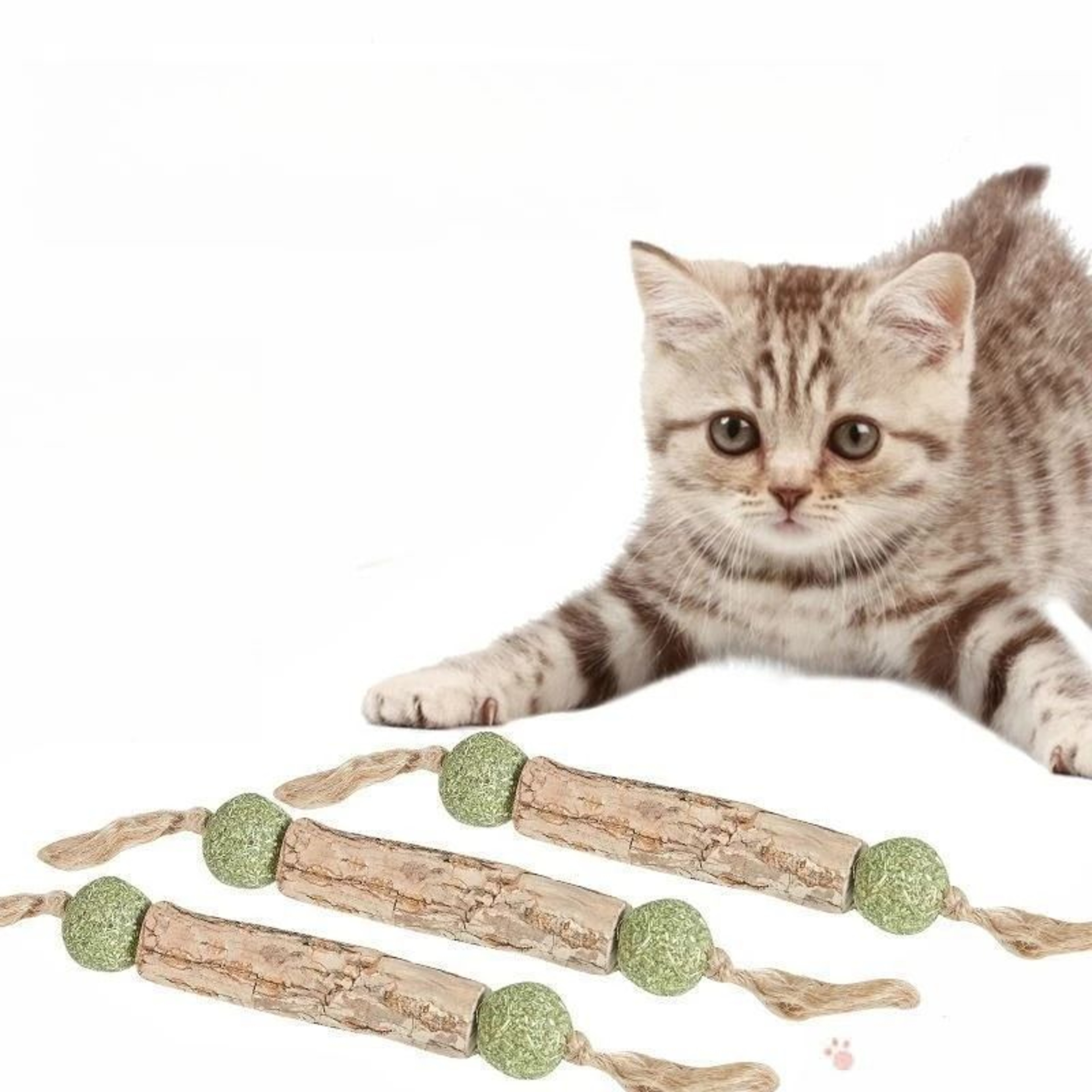 Pure Natural Catnip Molar Stick Interactive Dental Cleaning Toy And Snack 0