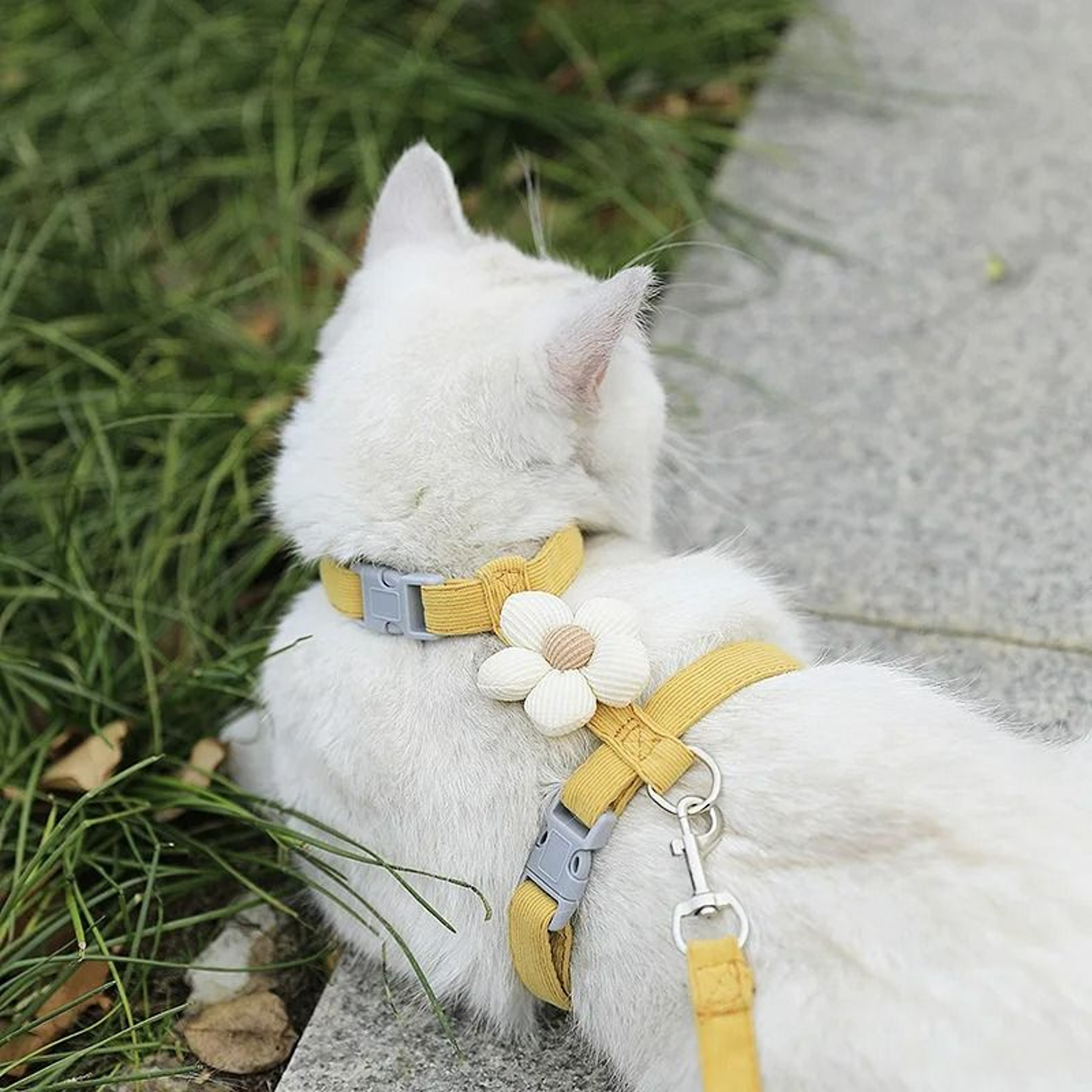 Breathable Flower Pet Harness  Leash Set 1
