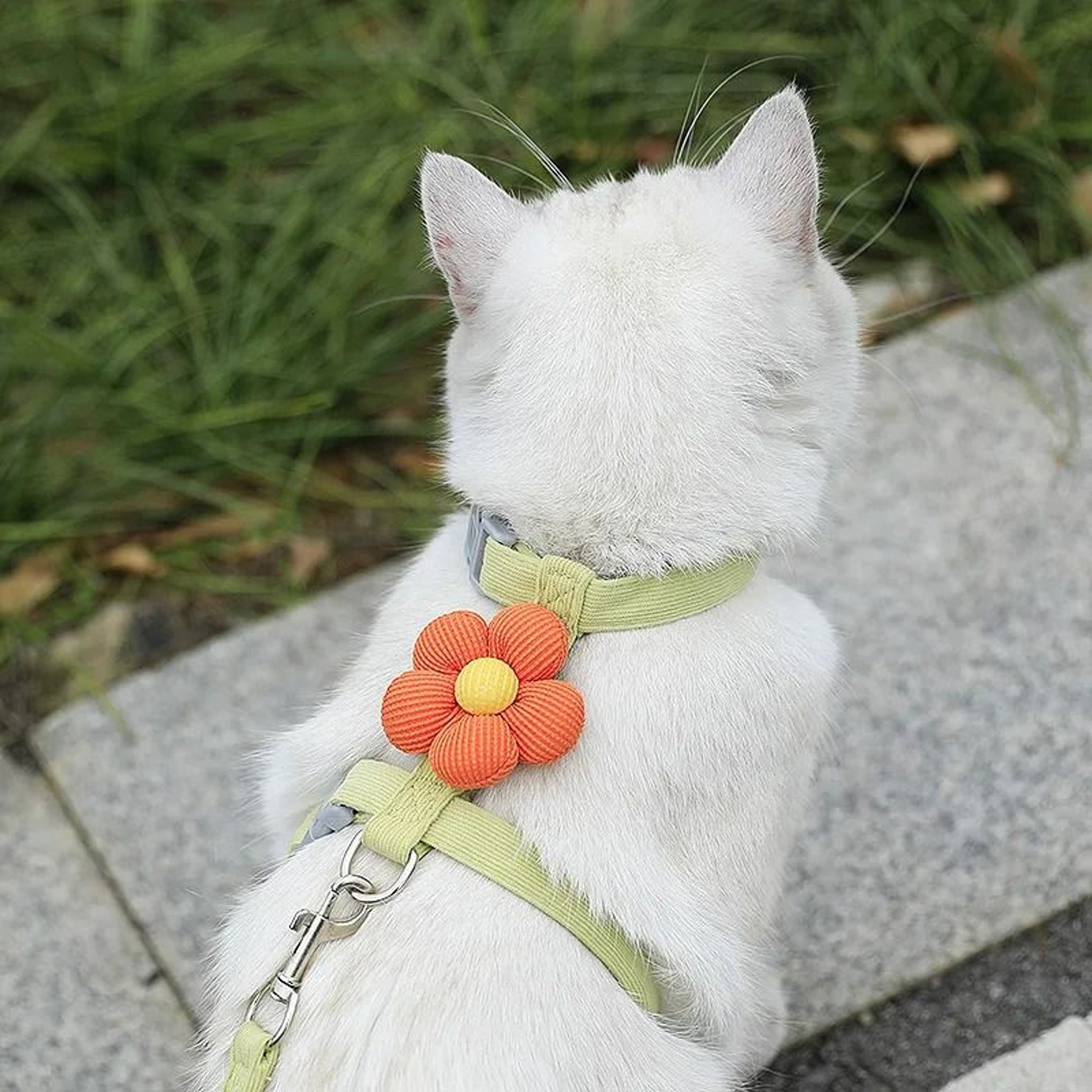 Breathable Flower Pet Harness  Leash Set 5