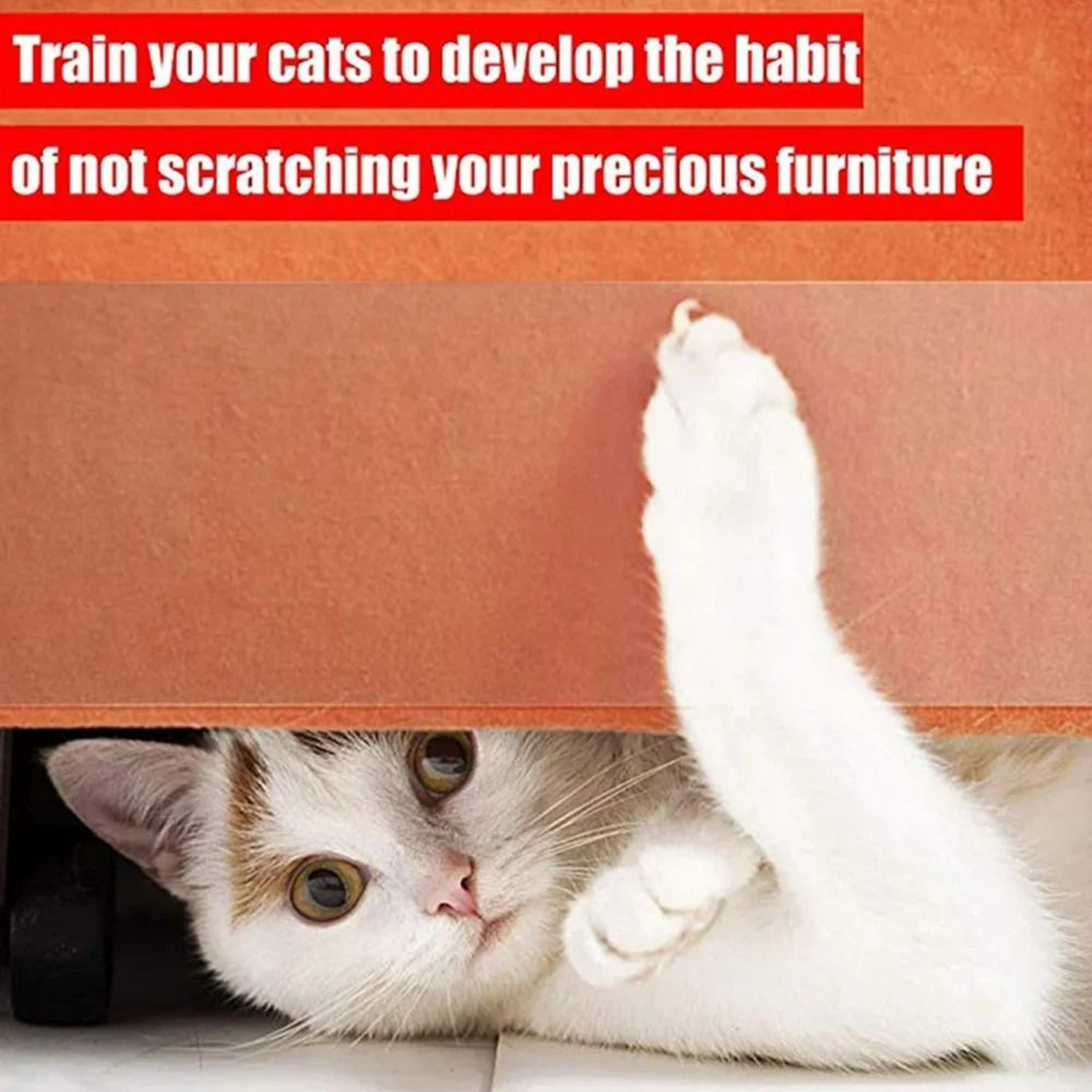 Invisible Furniture Shield  Cat Scratch Deterrent Tape 4
