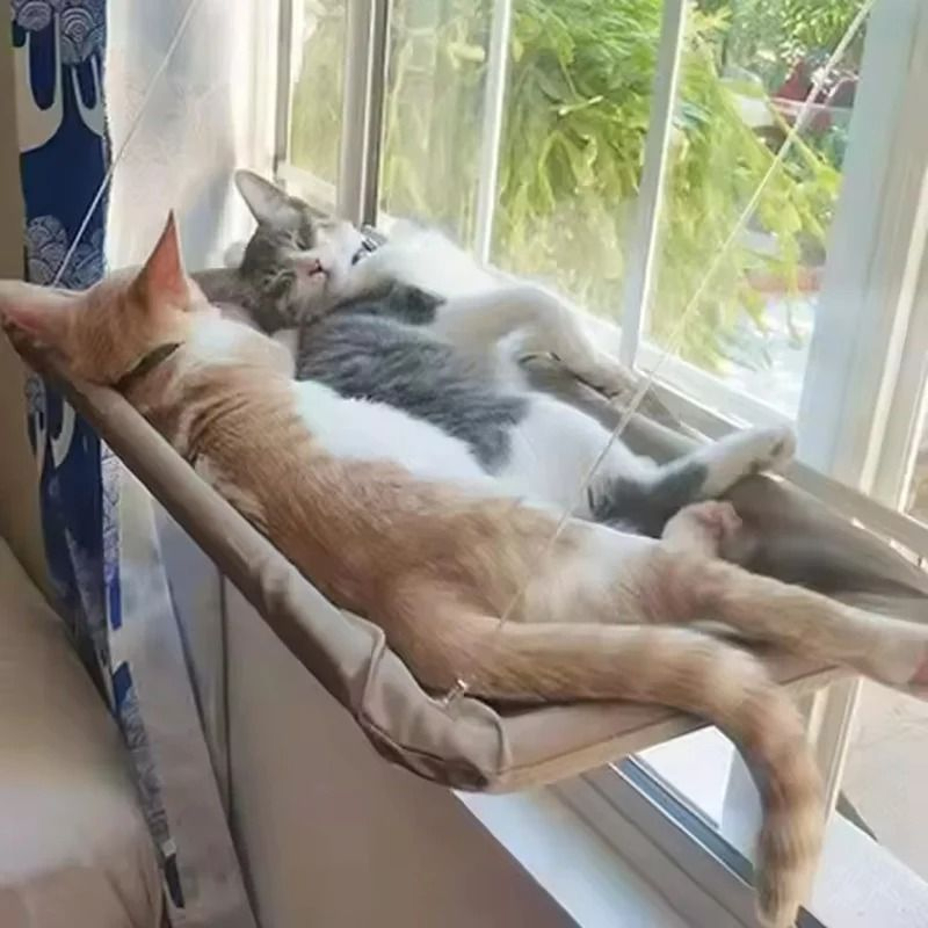 Ultra Soft SpaceSaving Cat Window Hammock 1