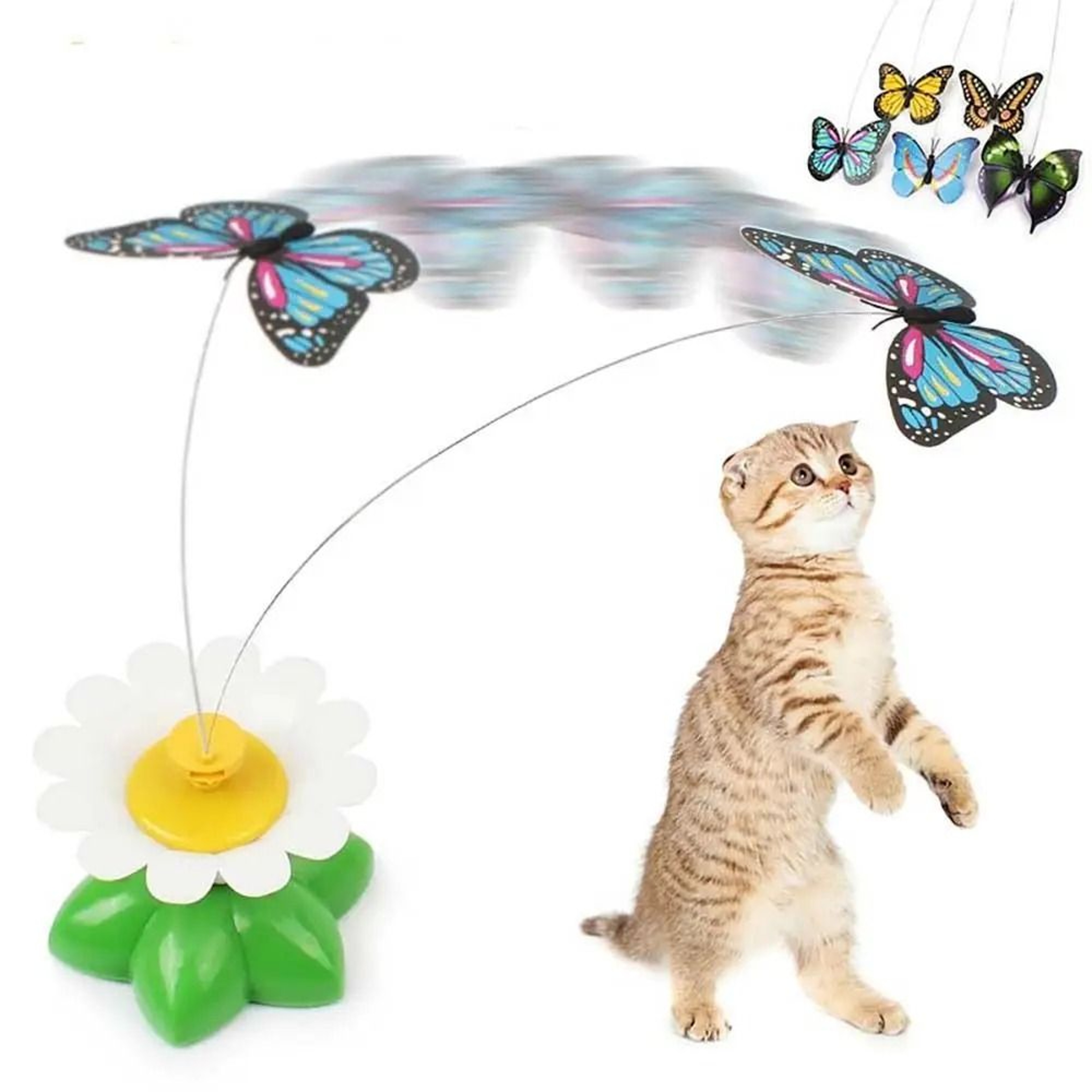 Automatic 360 Rotating Electric Teaser Toy 4