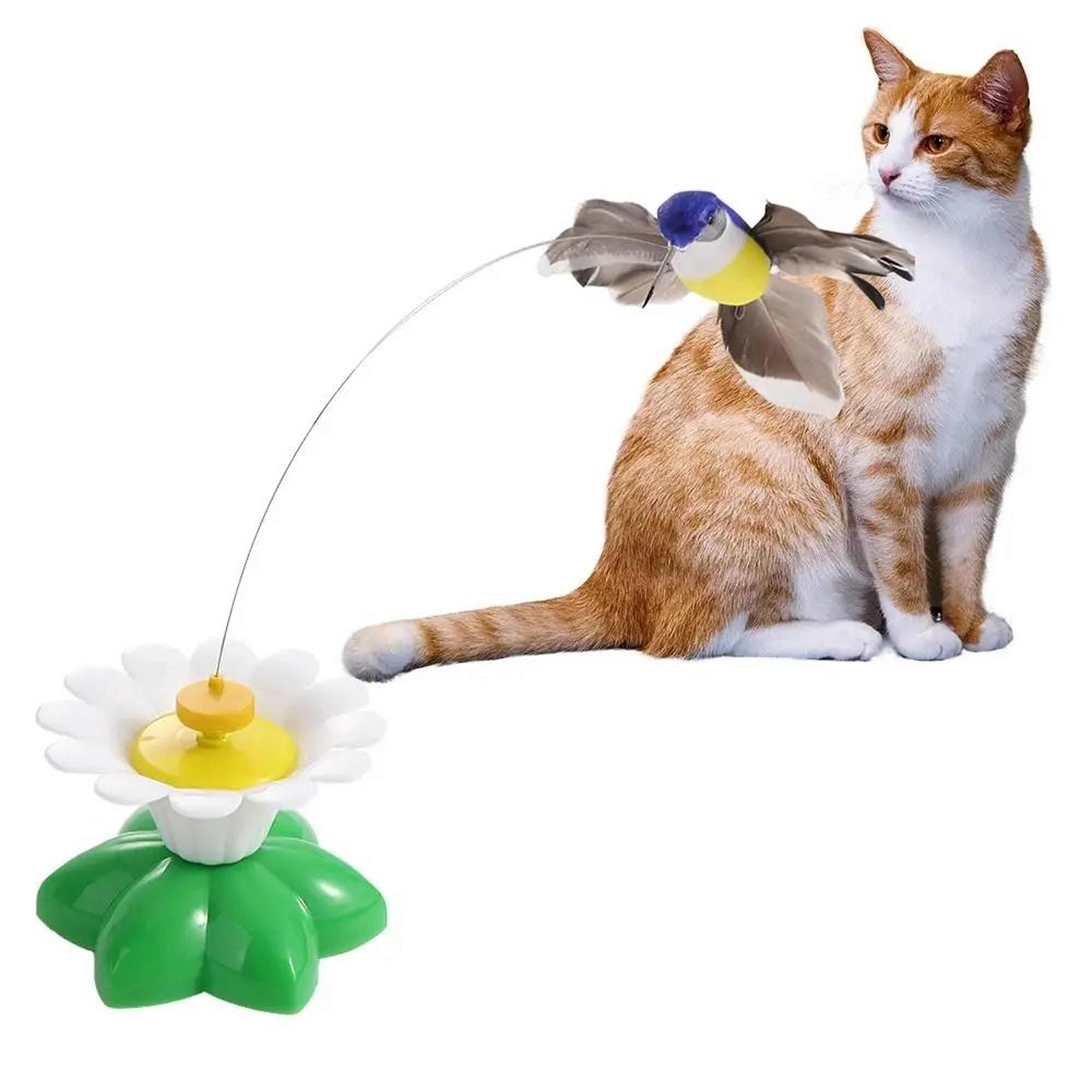 Automatic 360 Rotating Electric Teaser Toy 5