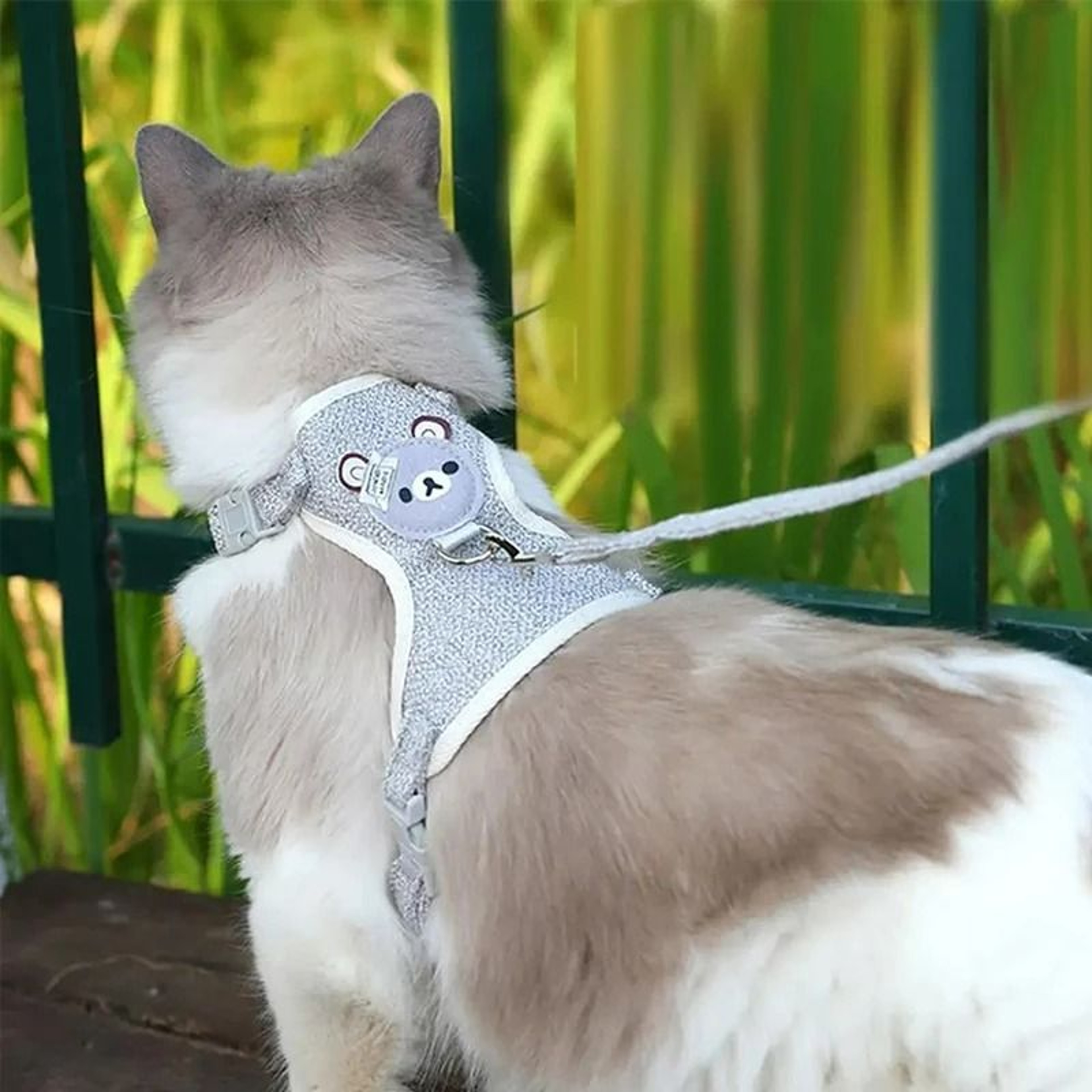 EscapeProof SoftMesh Comfort Harness  Leash Set 2