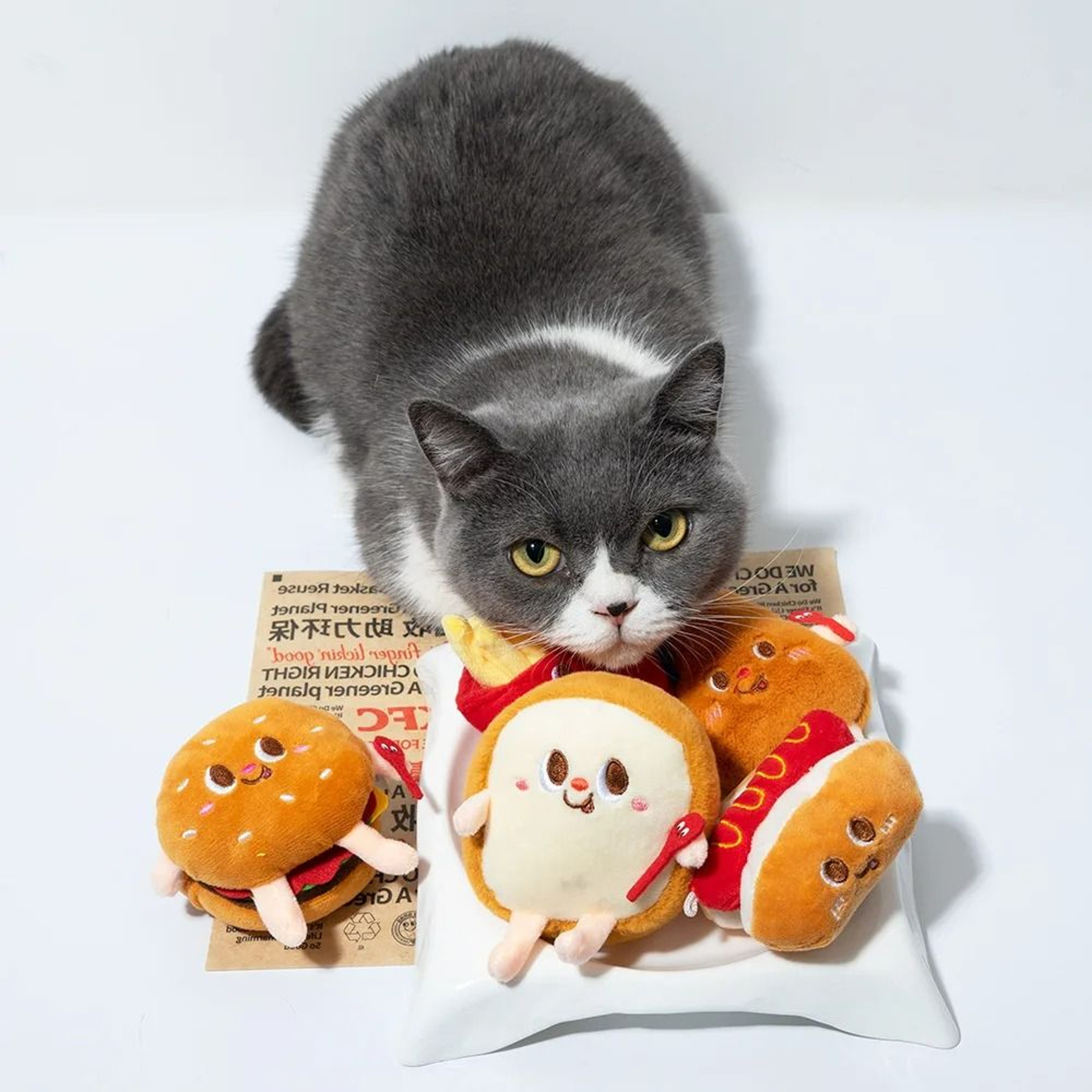 Fast Food Plush Catnip Toys  Interactive BiteSized Teething  Grinding Toys 1