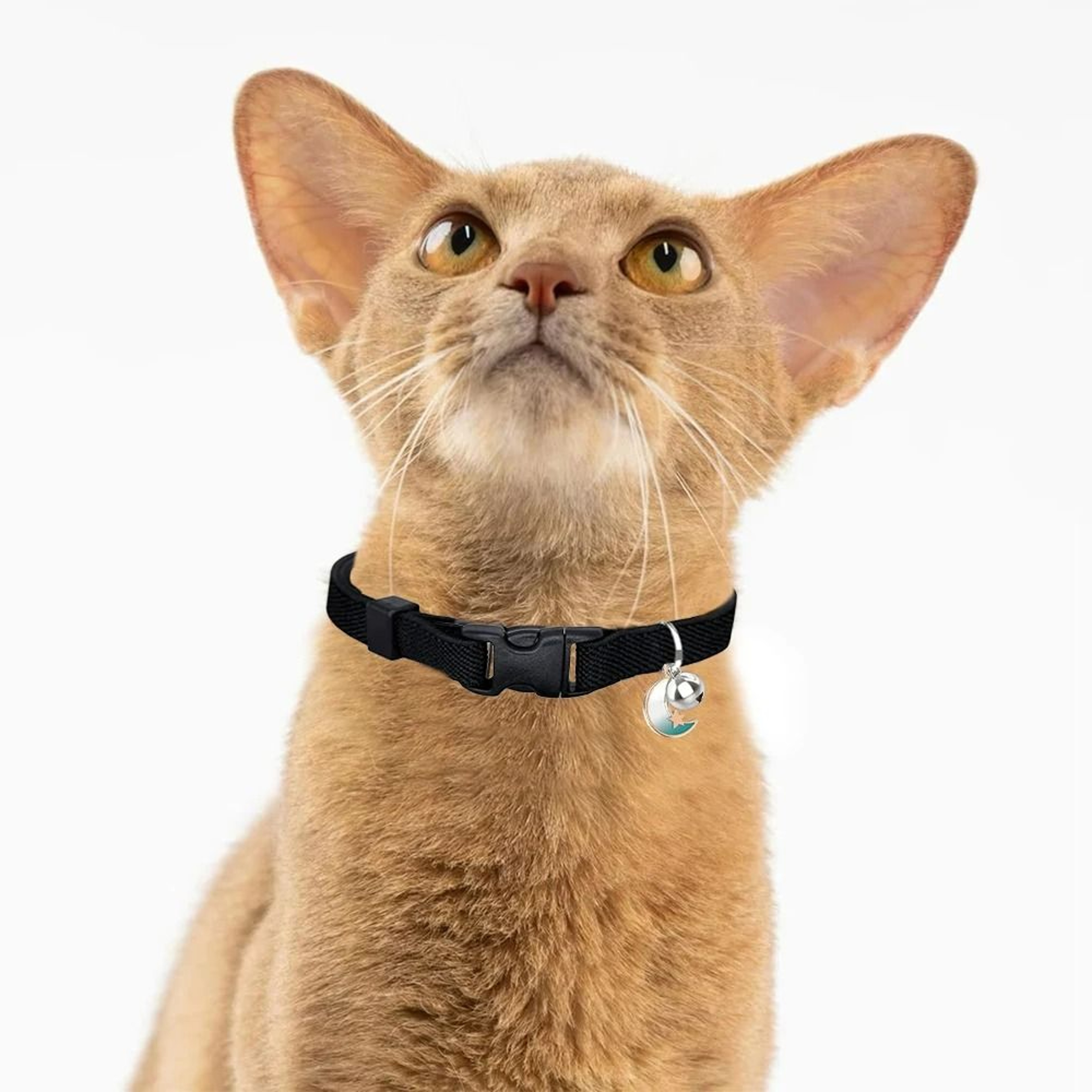 Elastic Safety Cat Collar  Lightweight Stretch Comfort For Kittens  Adult Cats 5