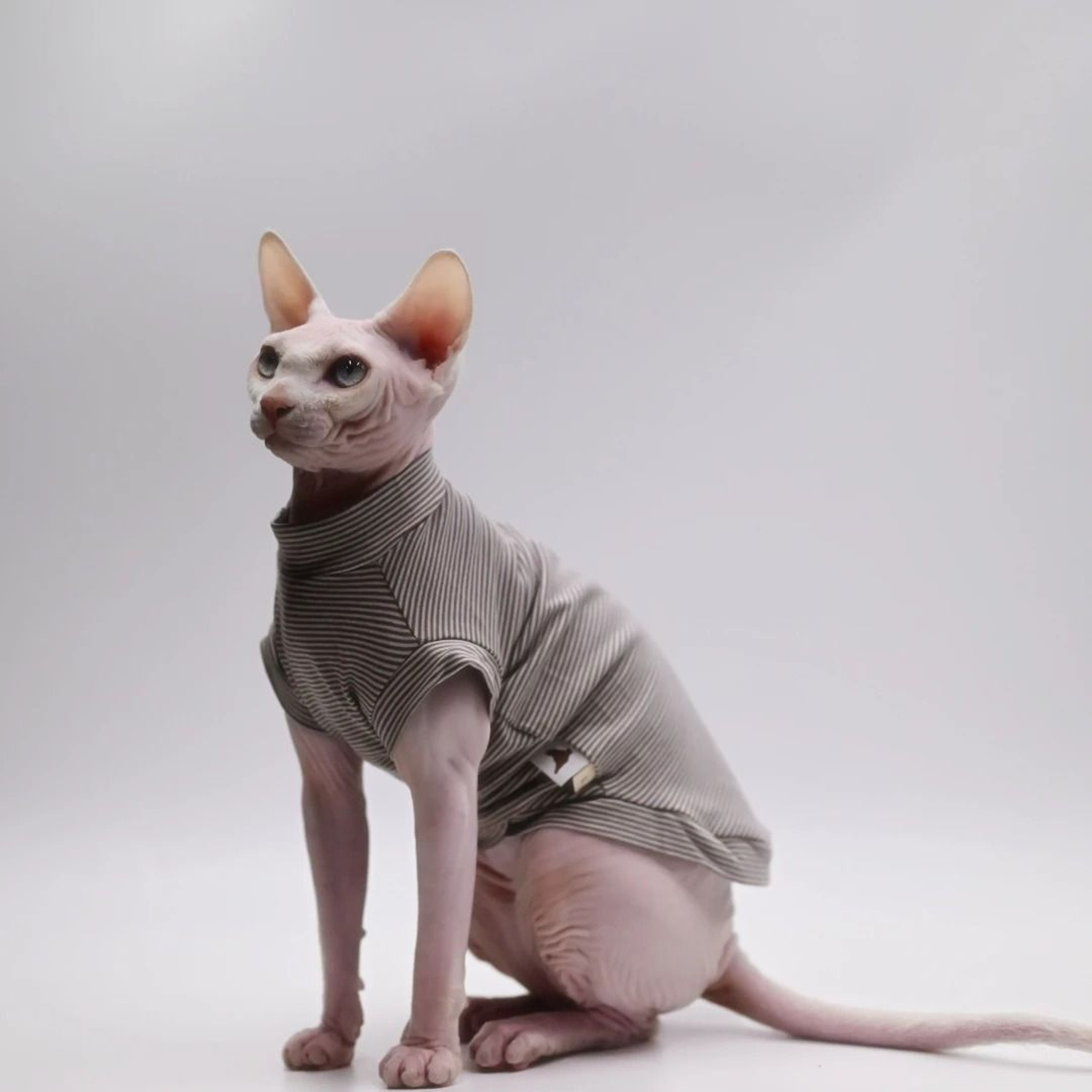 Soft Cotton Cooling Vest  Lightweight Breathable Stretch Top For Hairless Cats 0