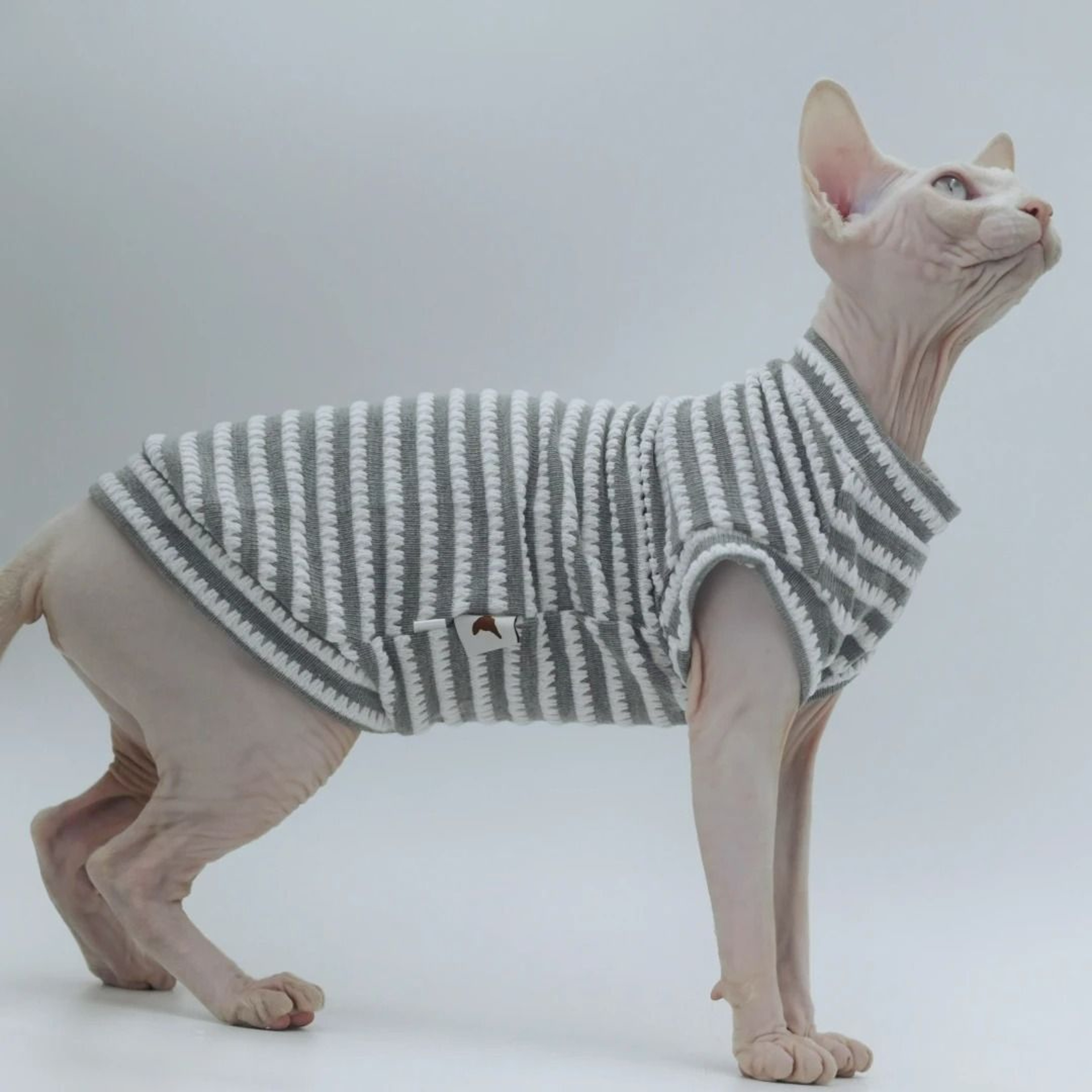 Soft Cotton Cooling Vest  Lightweight Breathable Stretch Top For Hairless Cats 8