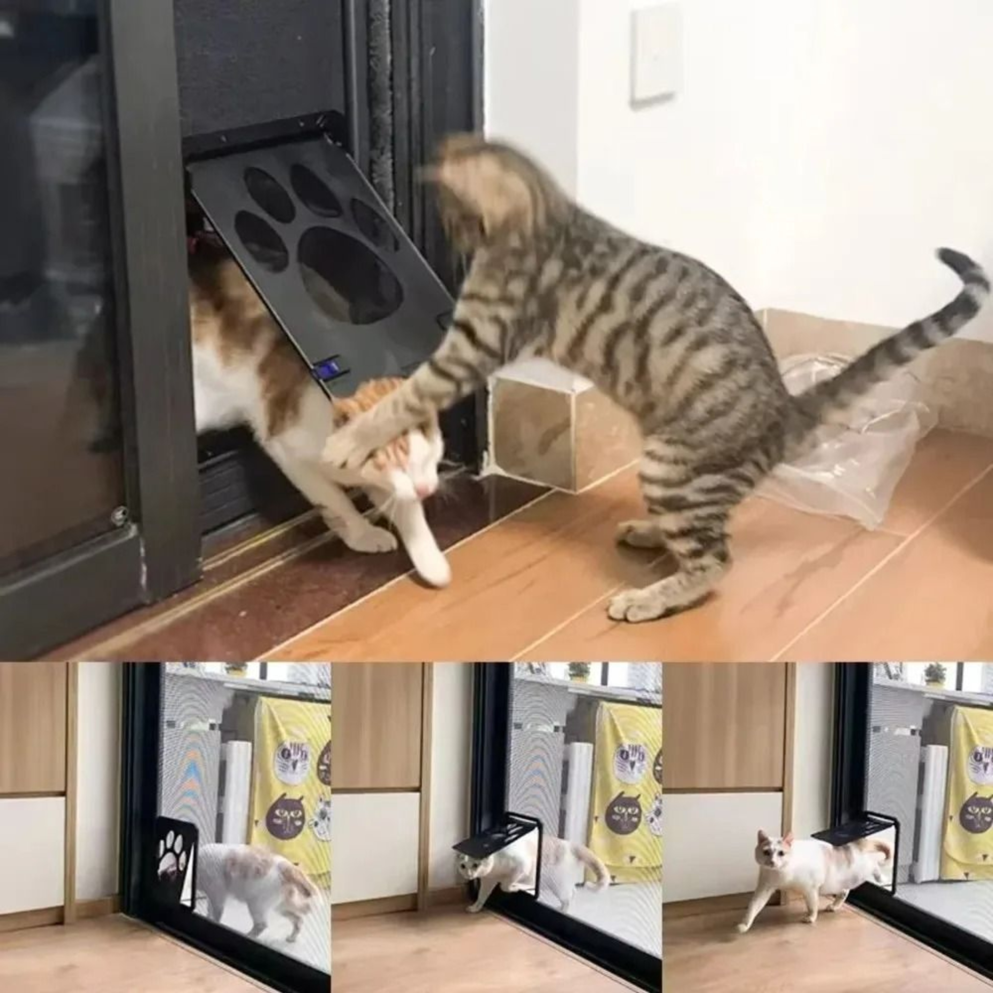 Magnetic Lockable Pet Screen Door  Weatherproof Automatic Closure Flap With Paw Print Mesh 3