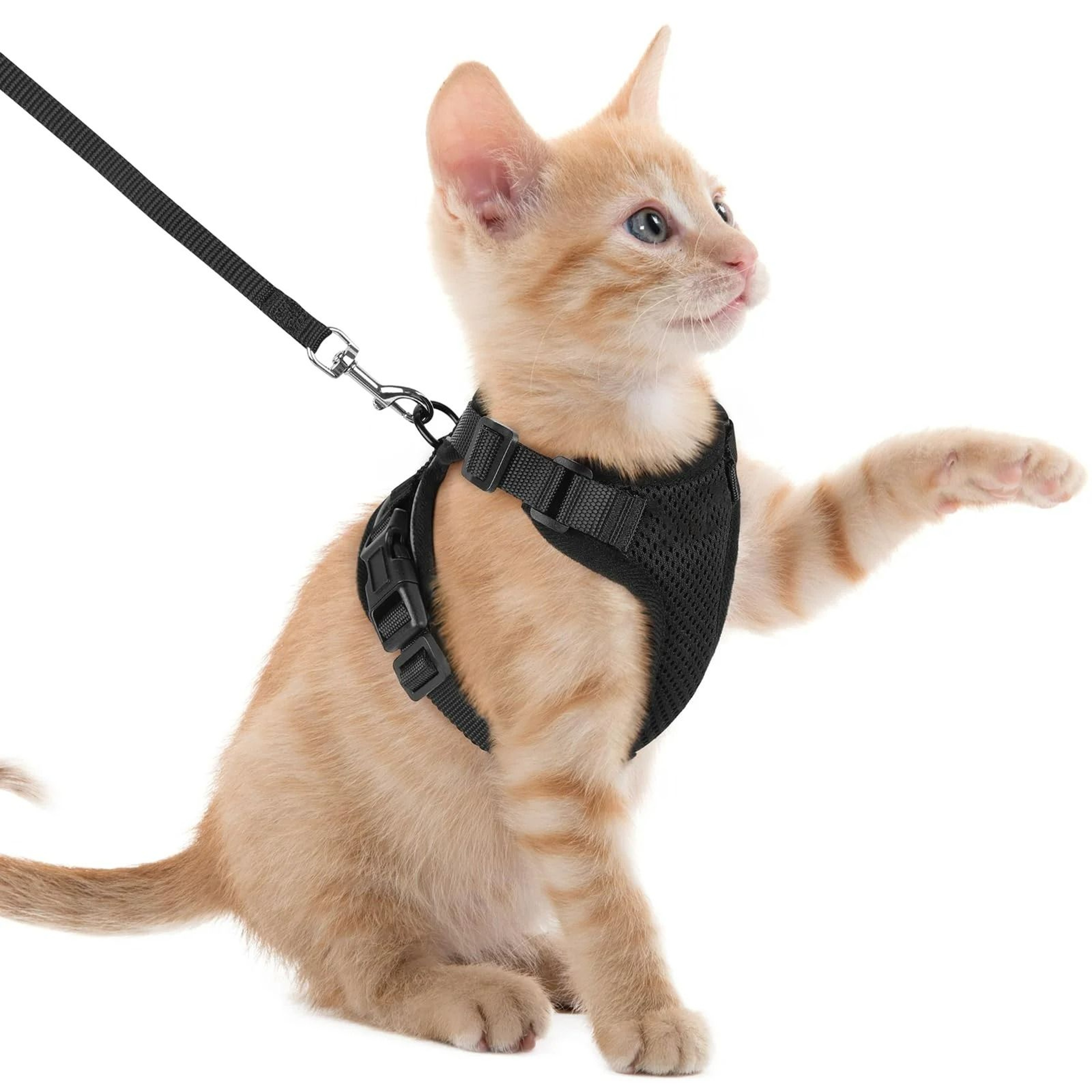 EscapeProof Reflective Cat Harness And Leash Set  Adjustable Breathable Mesh Walking Vest 9