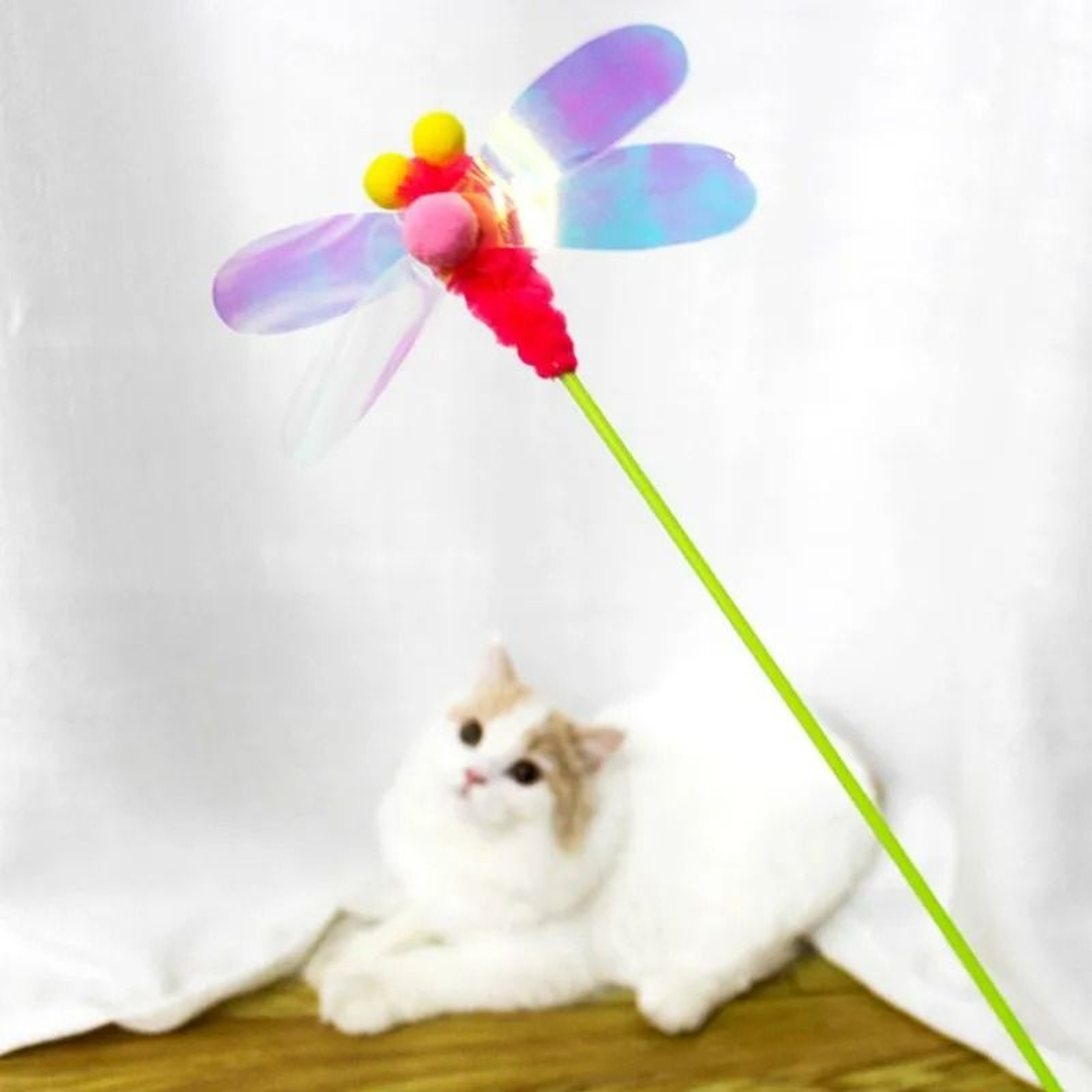 Interactive Insect  Feather Cat Teaser Wand With Soft Wool Ball Accent 1