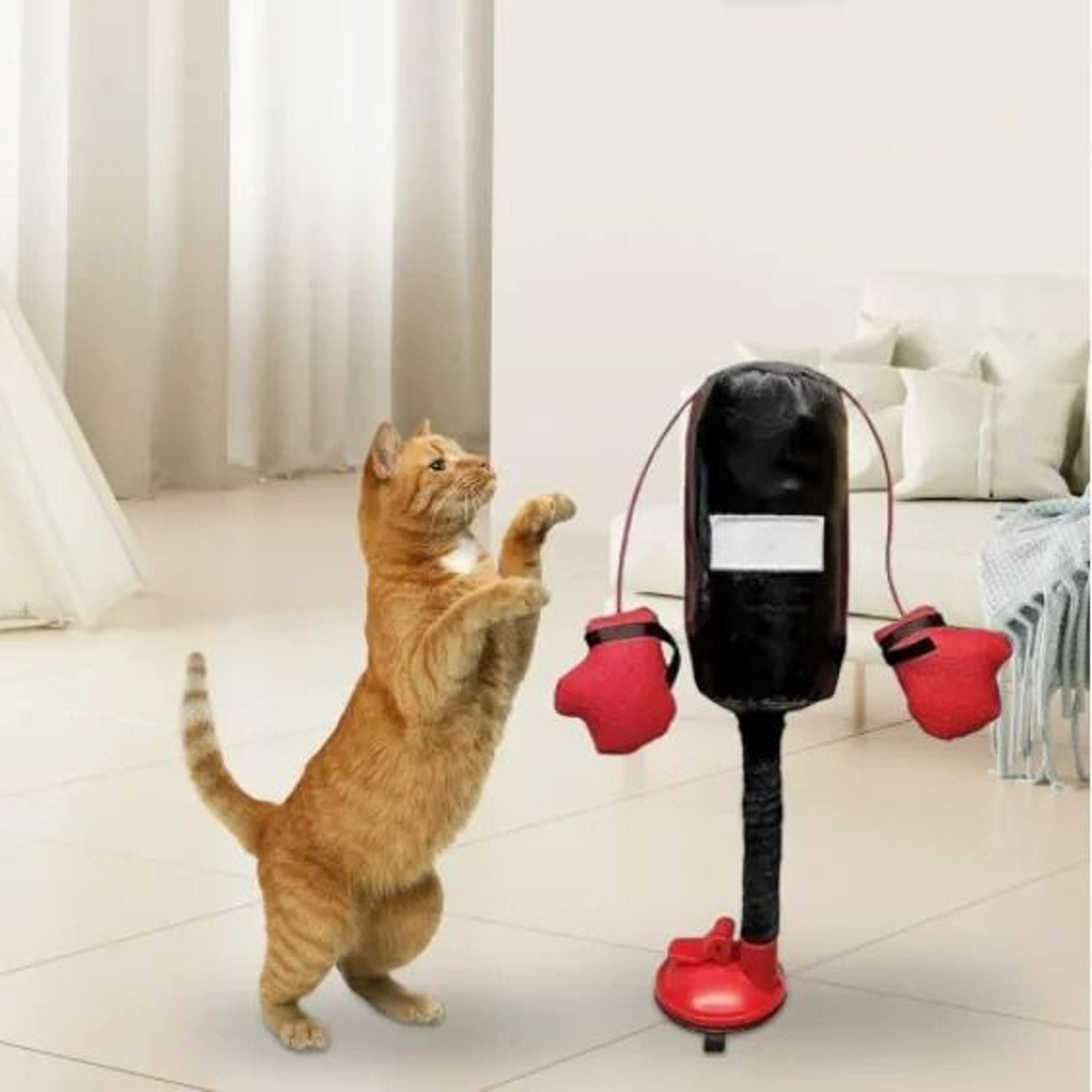 Cartoon Cat Punching Bag Toy  Interactive Indoor Boxing Toy With HeavyDuty Suction Cup Random Color 1
