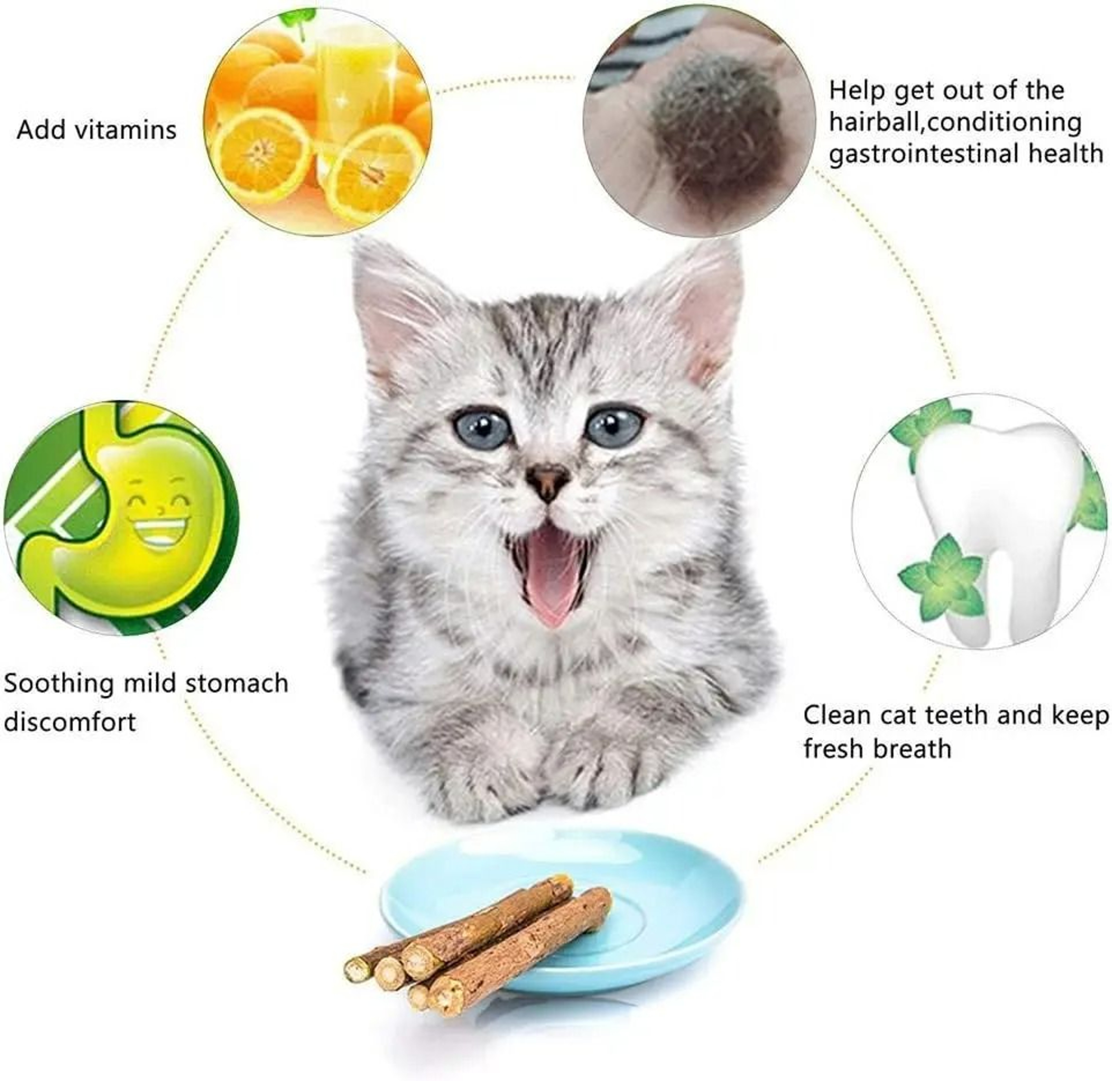 Natural Silvervine Teething  Dental Cleaning Sticks 4