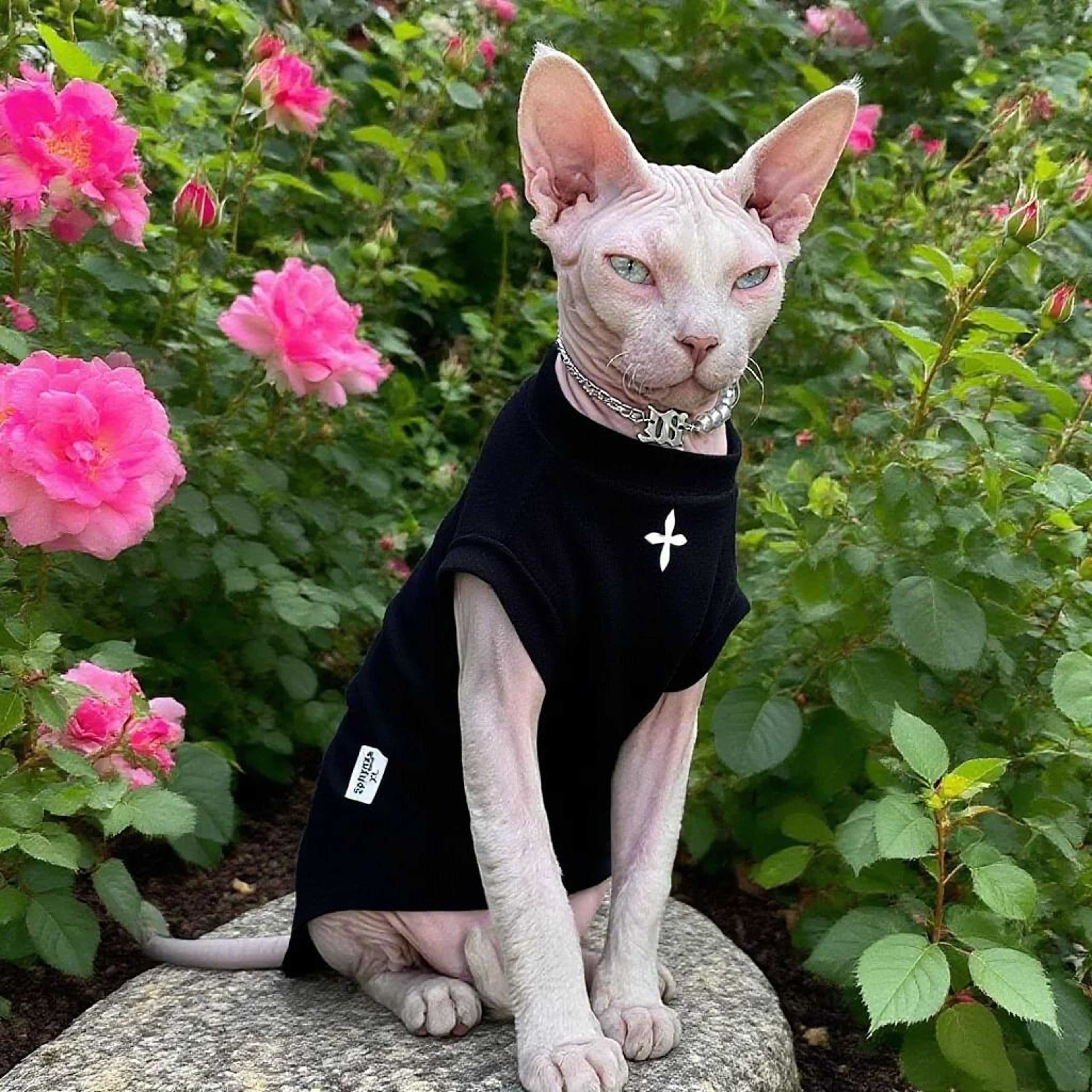 Cozy Winter Cotton ShortSleeve Pullover Cat Shirt 0