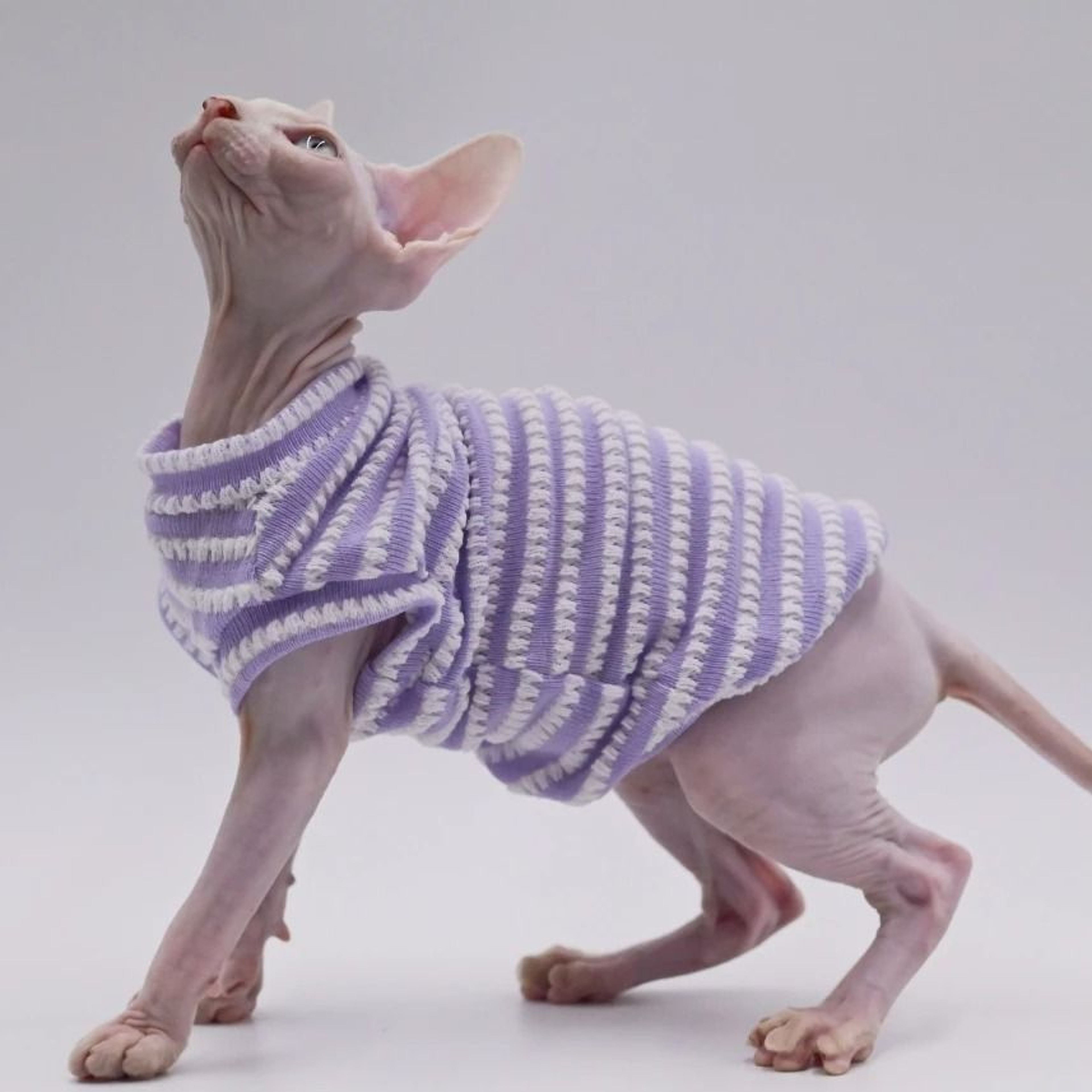 Premium Breathable Cotton Sphynx Cat Clothes  SkinFriendly Hairless Cat Vest 3