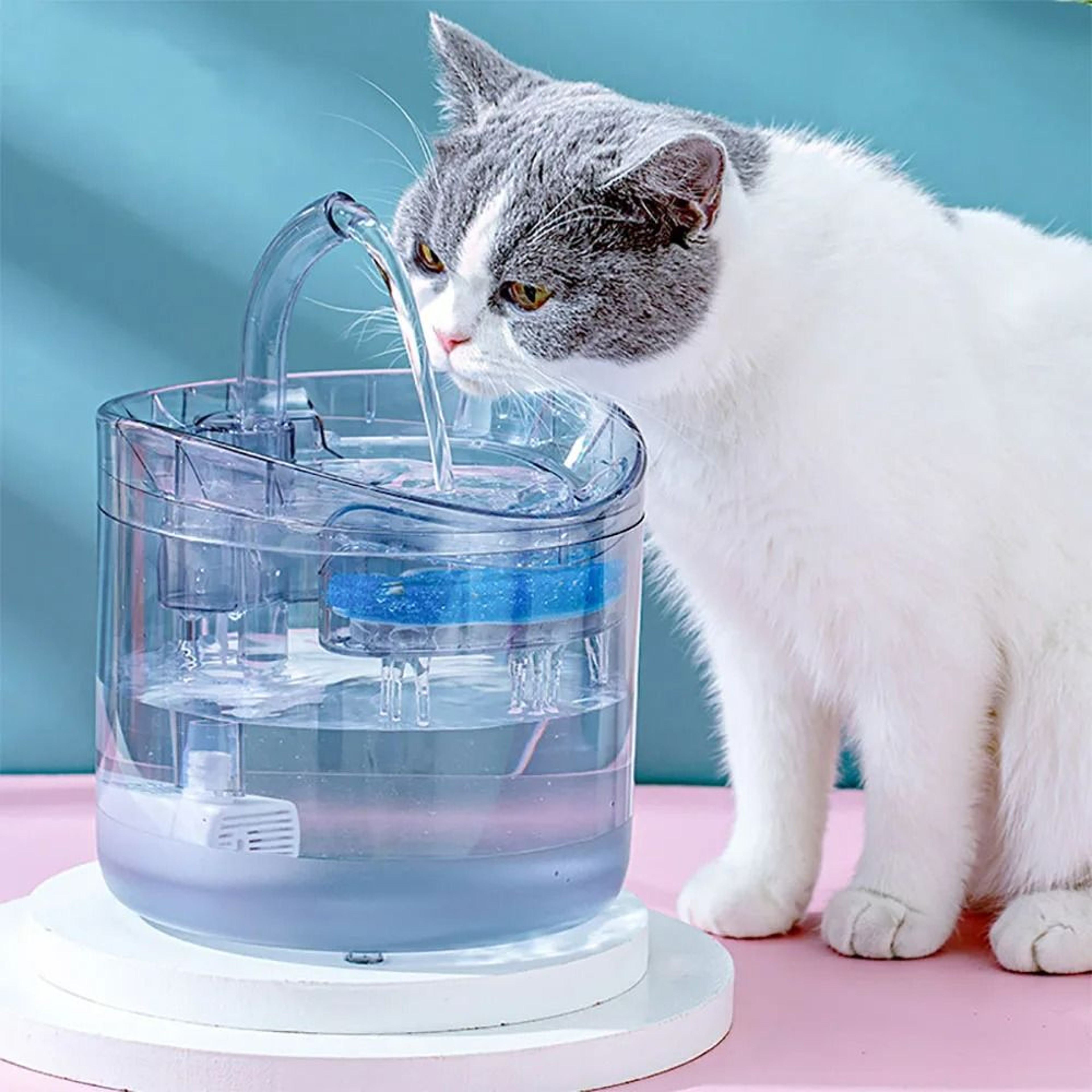 Clear View MotionSensor Faucet Pet Fountain 4