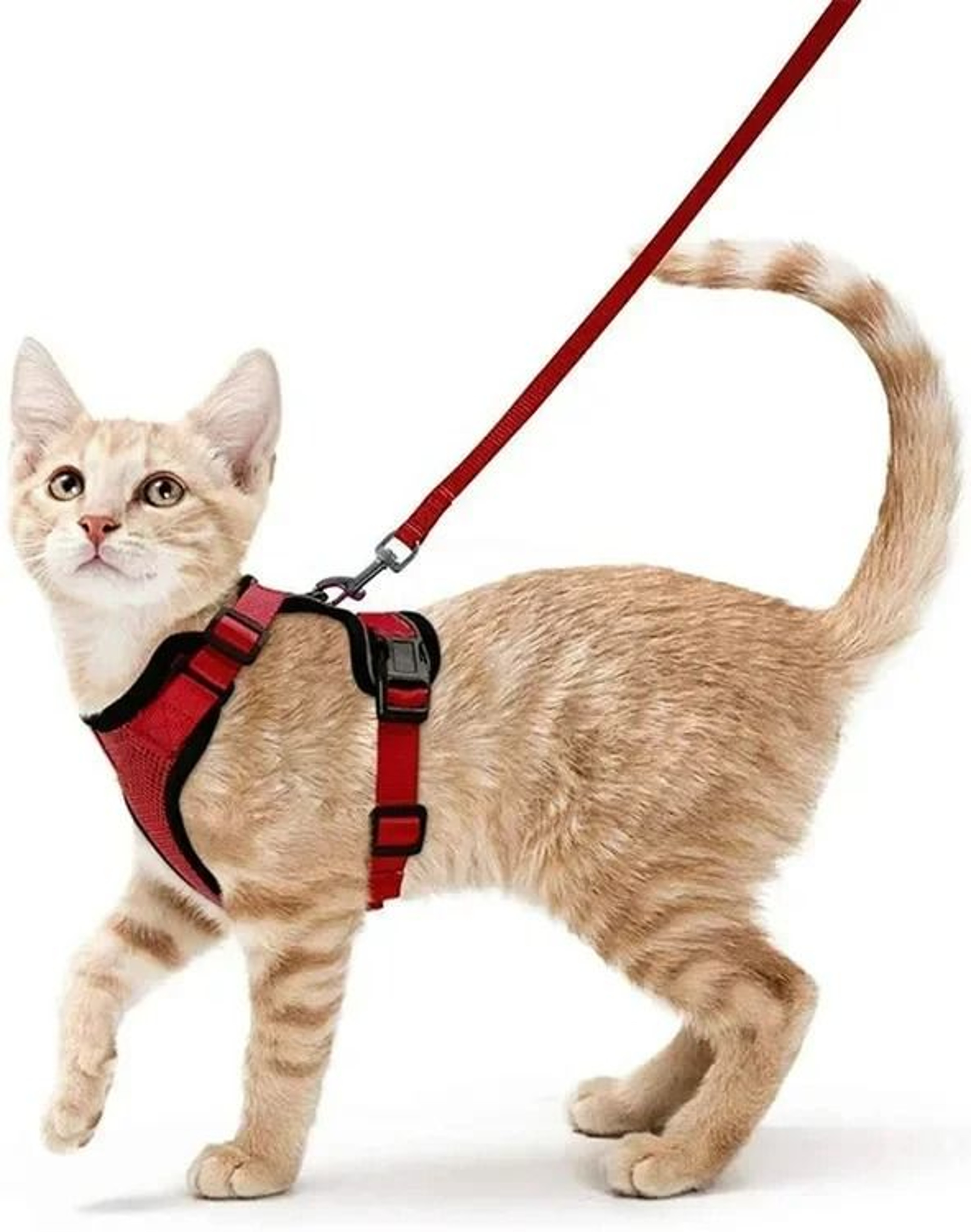 Escape Proof Soft Adjustable Vest Harness 12