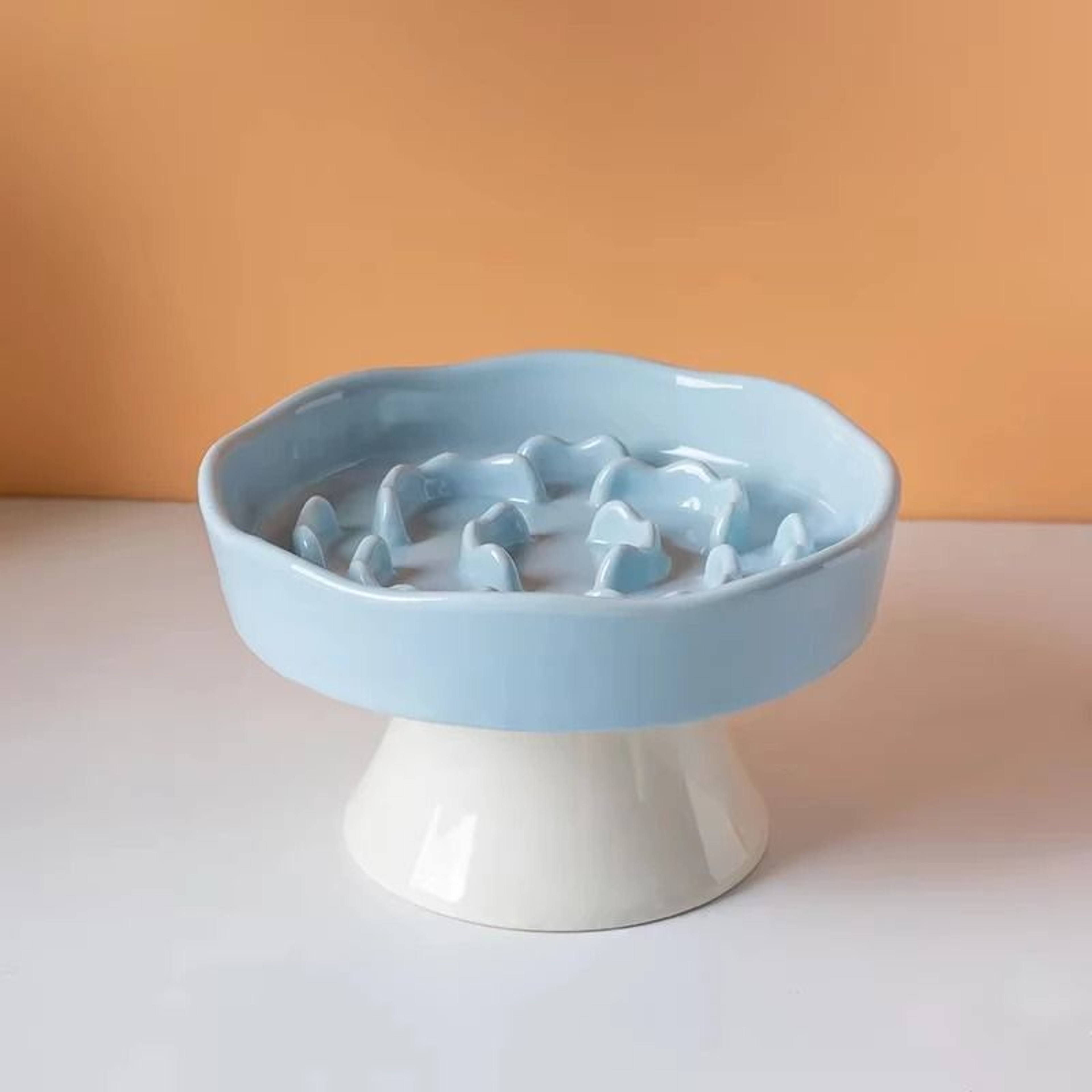Elevated Ceramic SlowFeeding Cat Bowl 4
