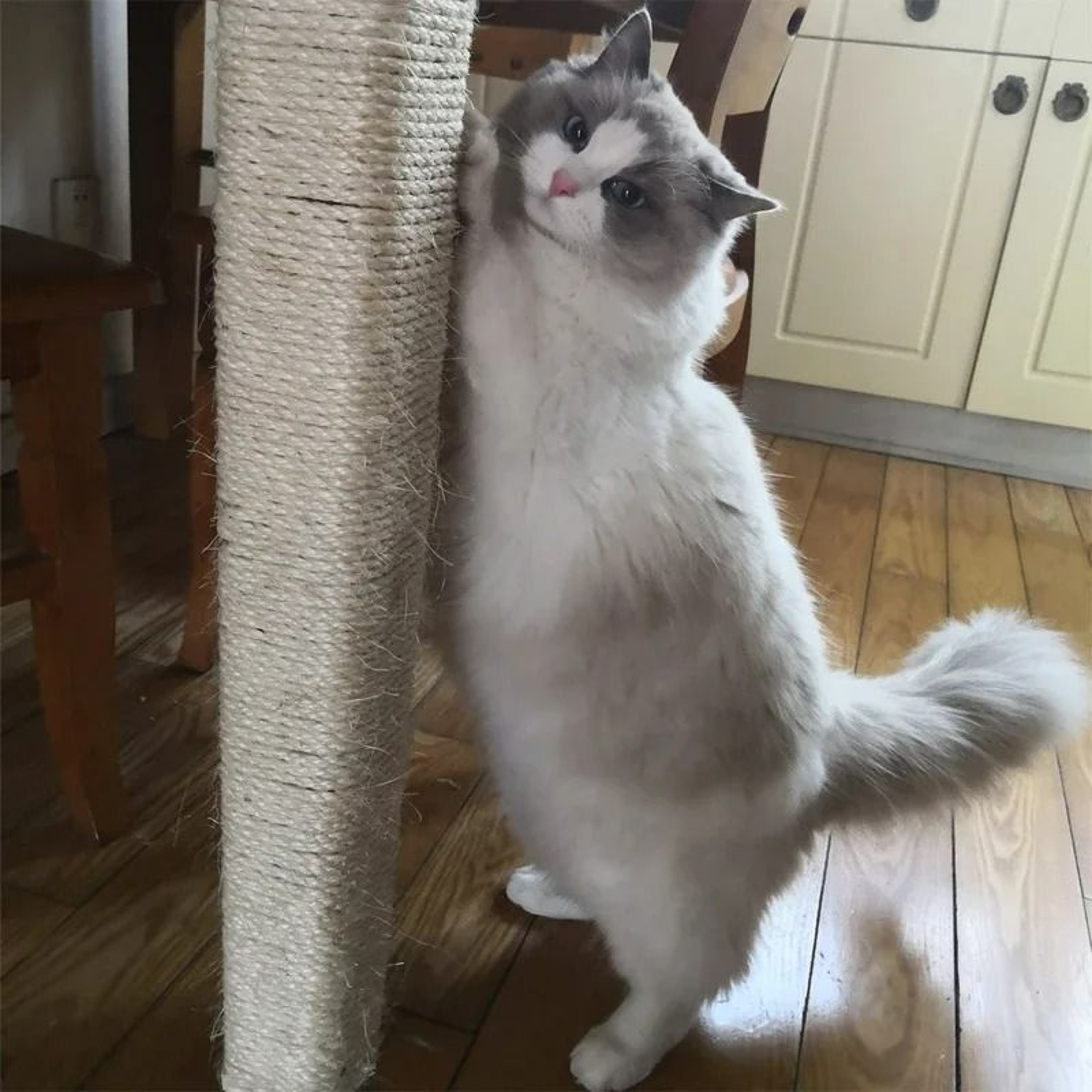 Natural Sisal Rope Cat Scratching Post Replacement 6