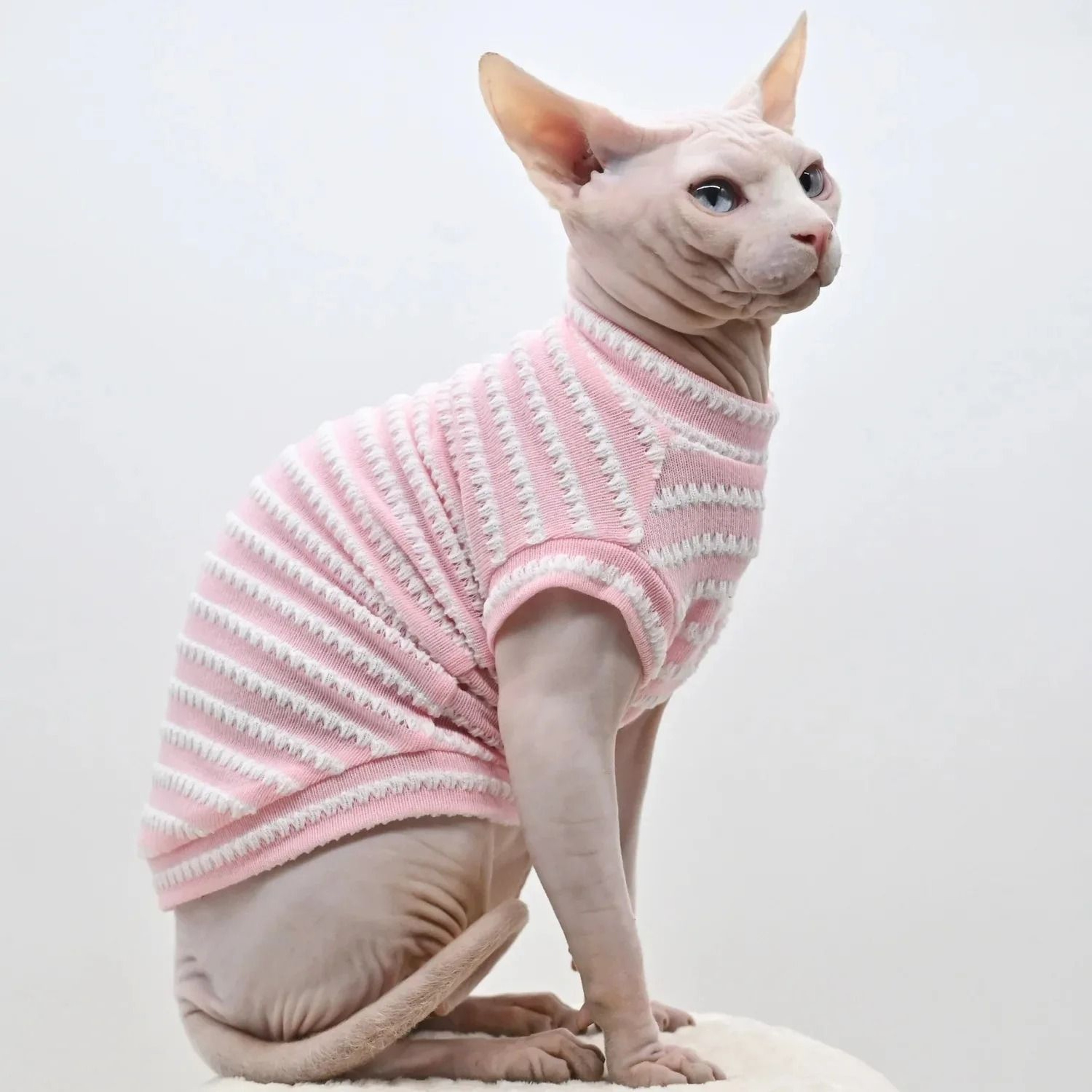 Breathable Striped Summer Cat Vest Shirt 1
