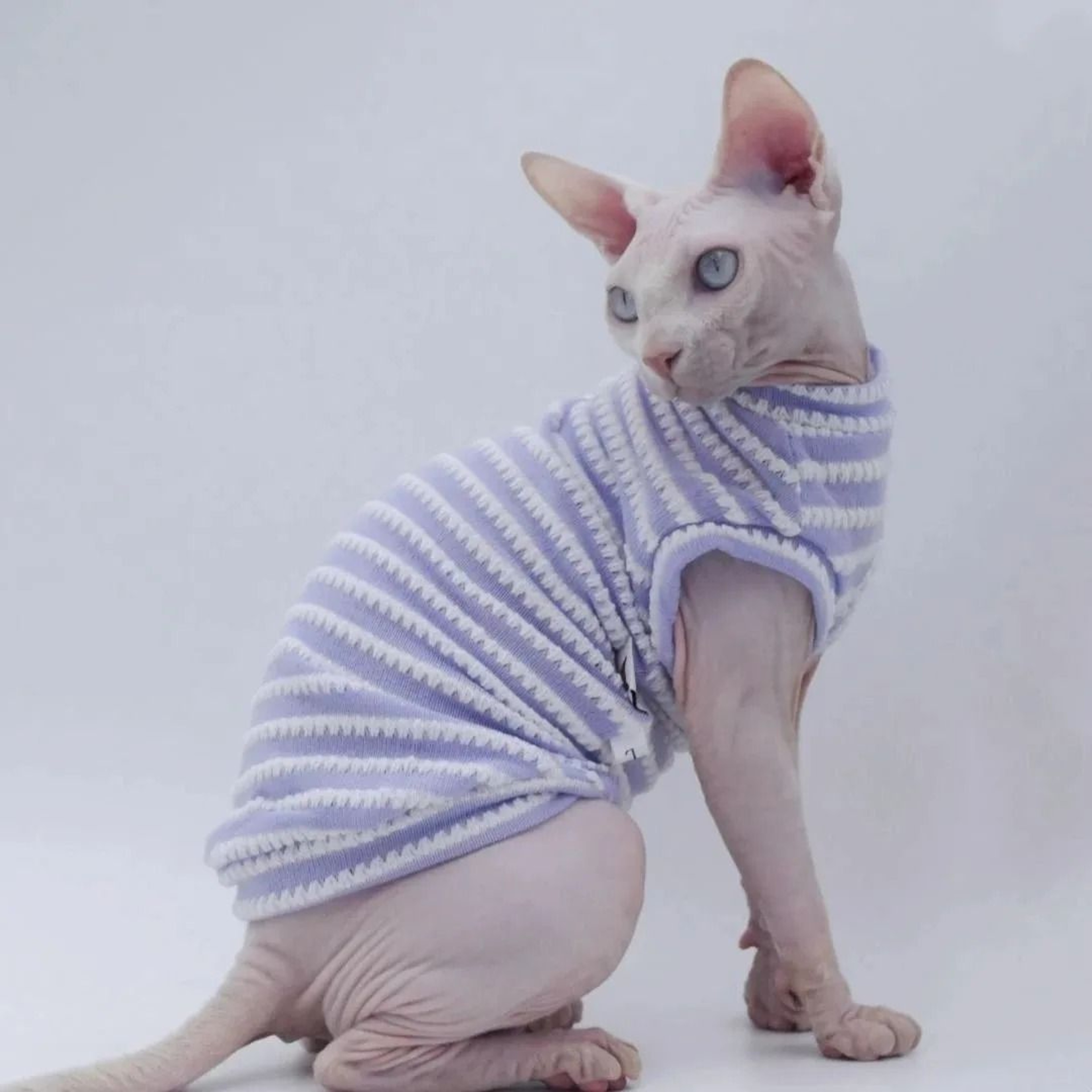 Breathable Striped Summer Cat Vest Shirt 2