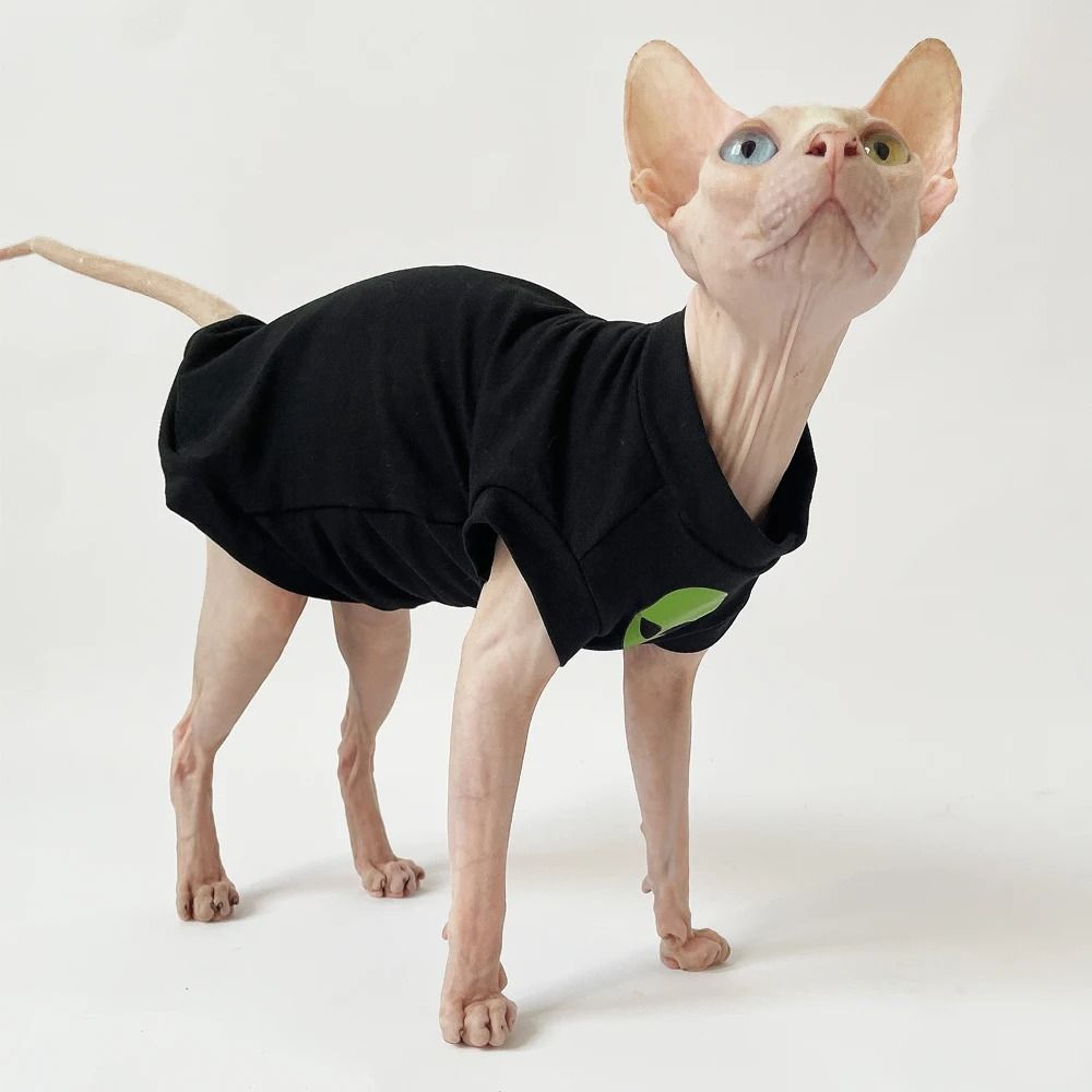 Fashion Striped Black Cotton Winter Cat Coat 5