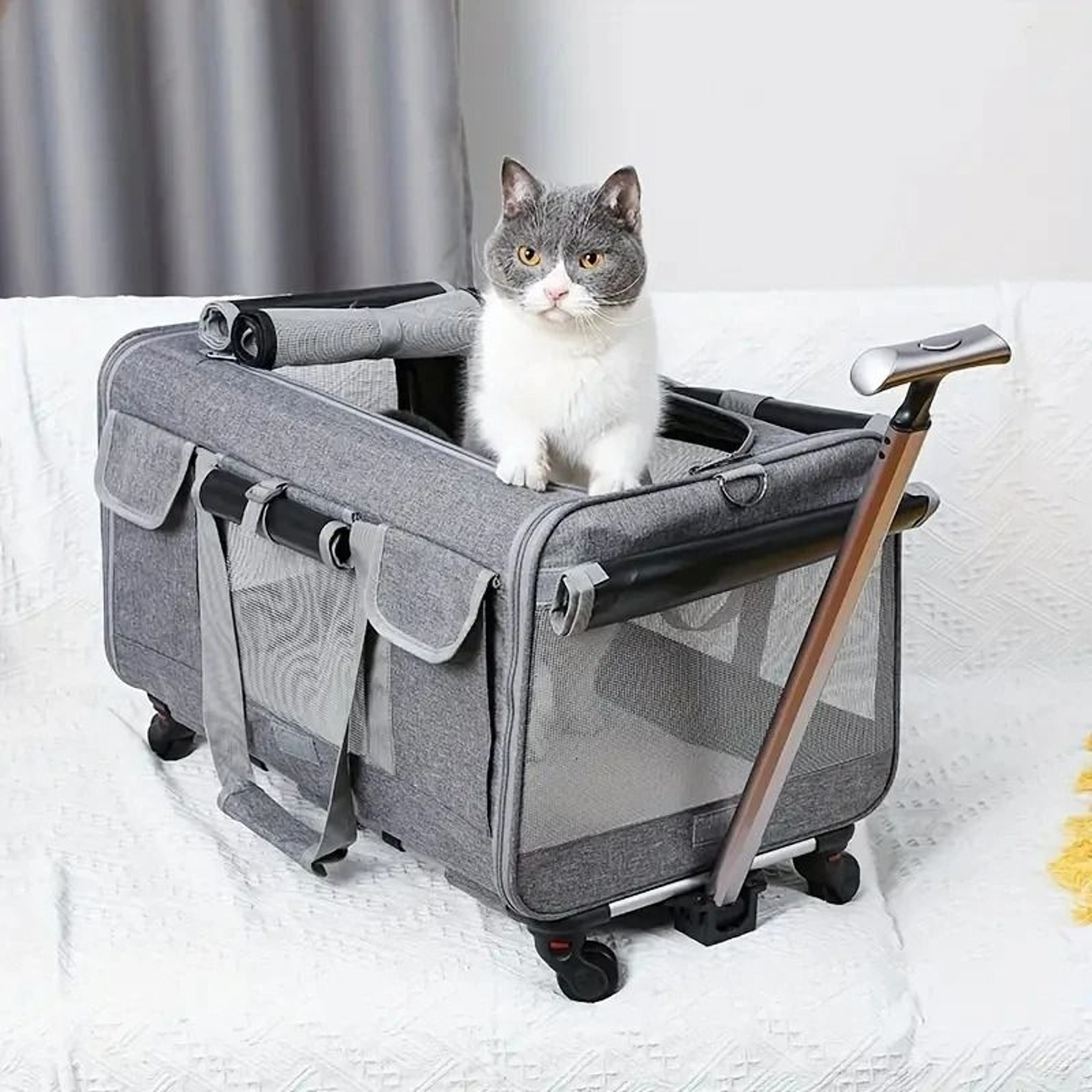 Extra Large Detachable Portable Pet Trolley Case 1