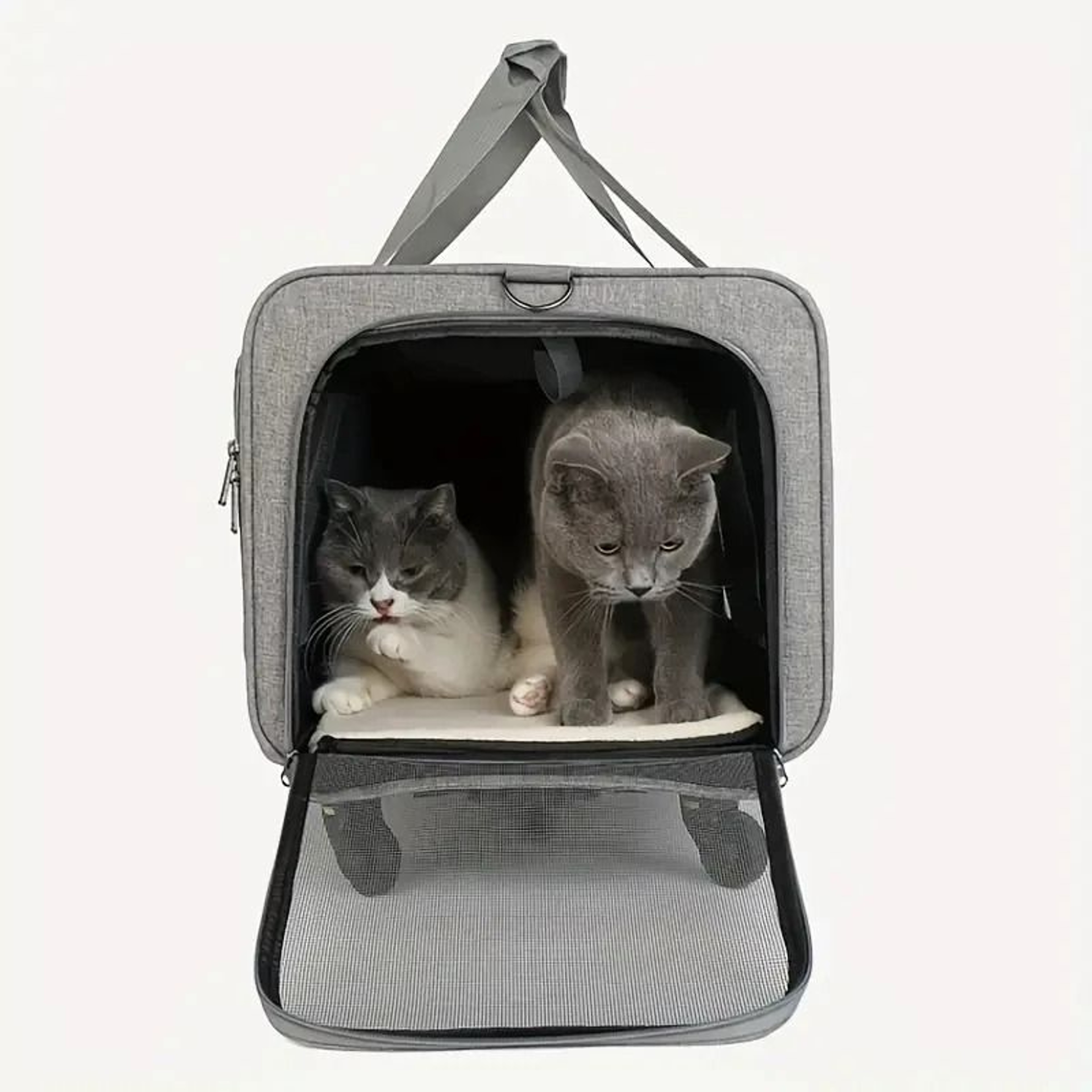Extra Large Detachable Portable Pet Trolley Case 2