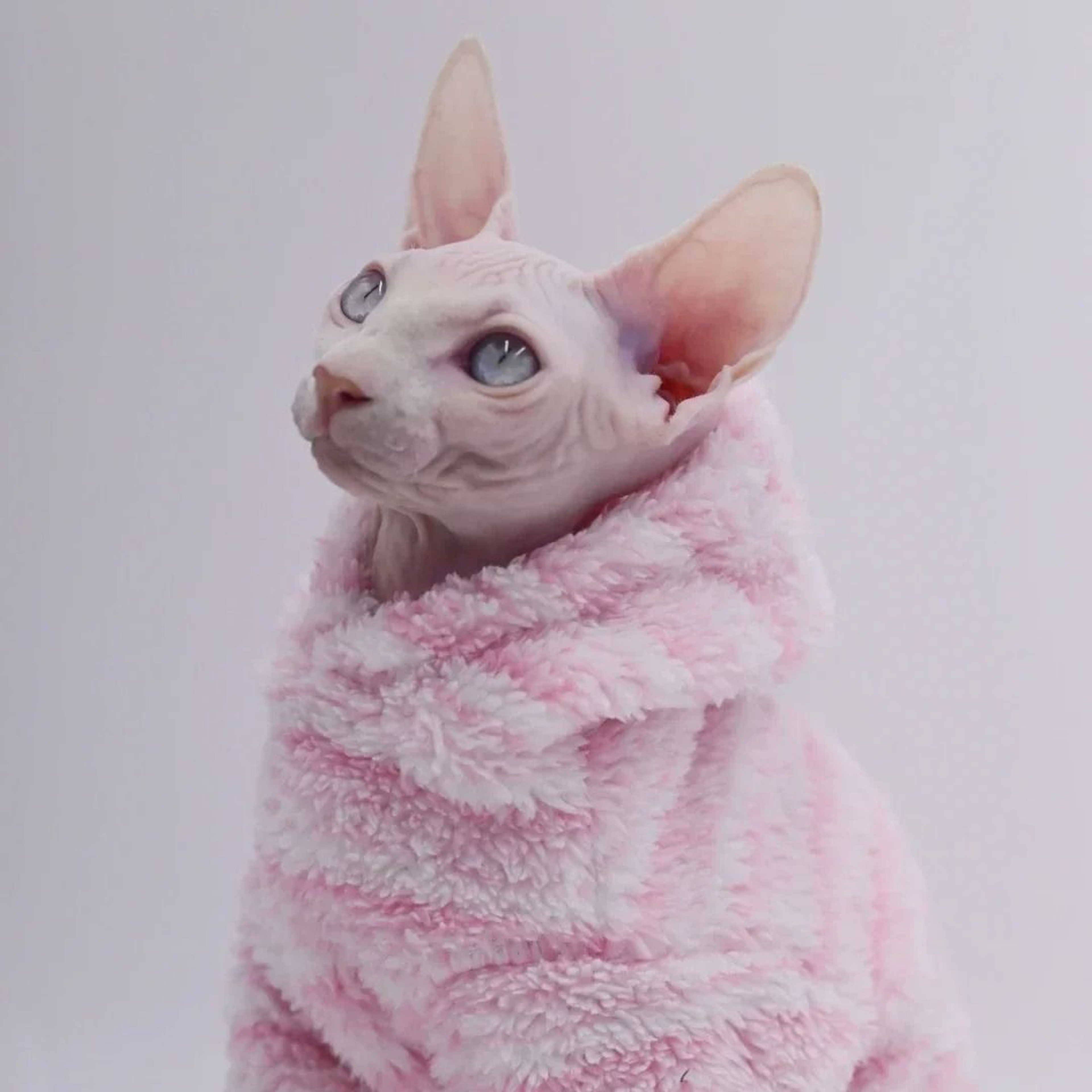 Soft DoubleSided Fluffy Winter Cat Coat 6