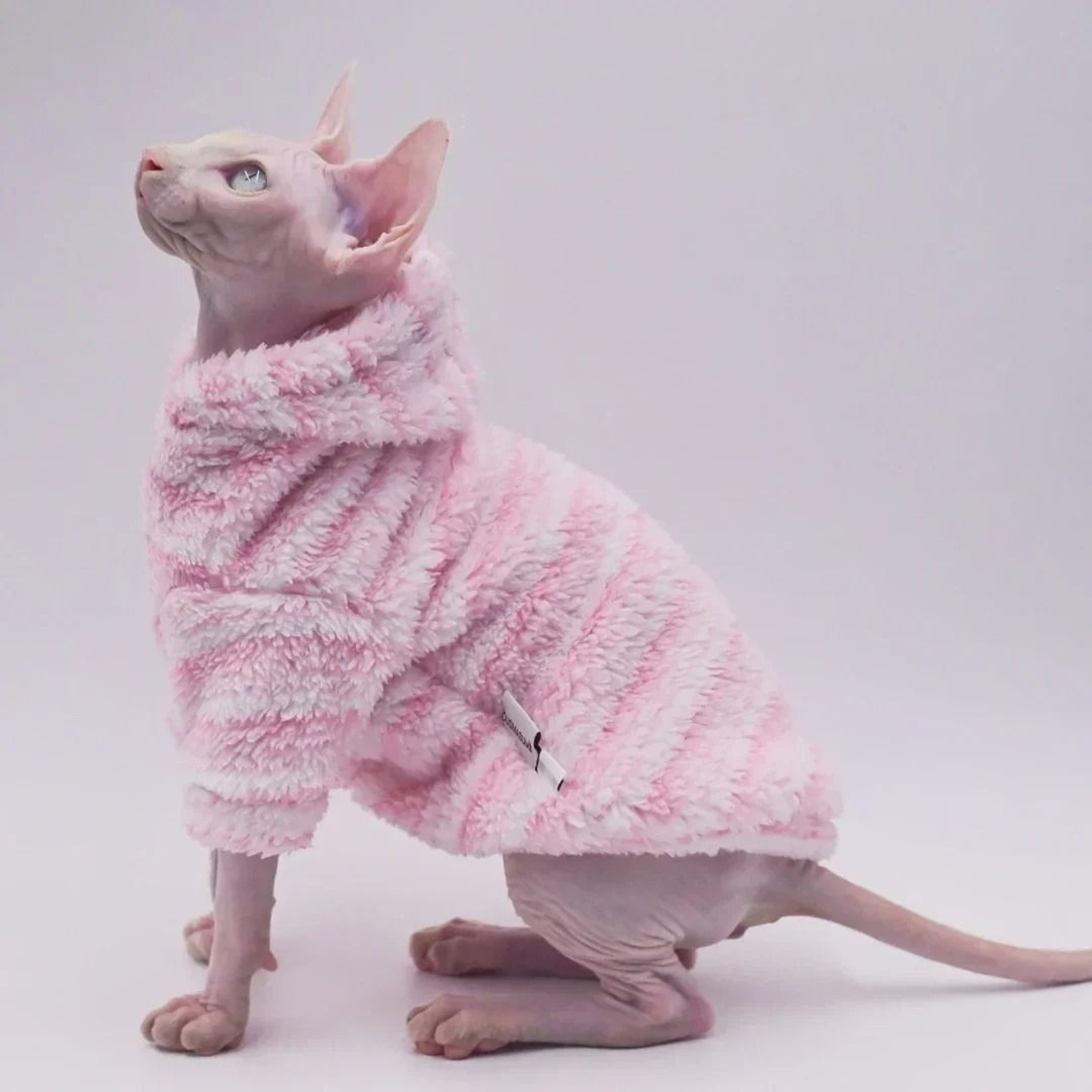Soft DoubleSided Fluffy Winter Cat Coat 7