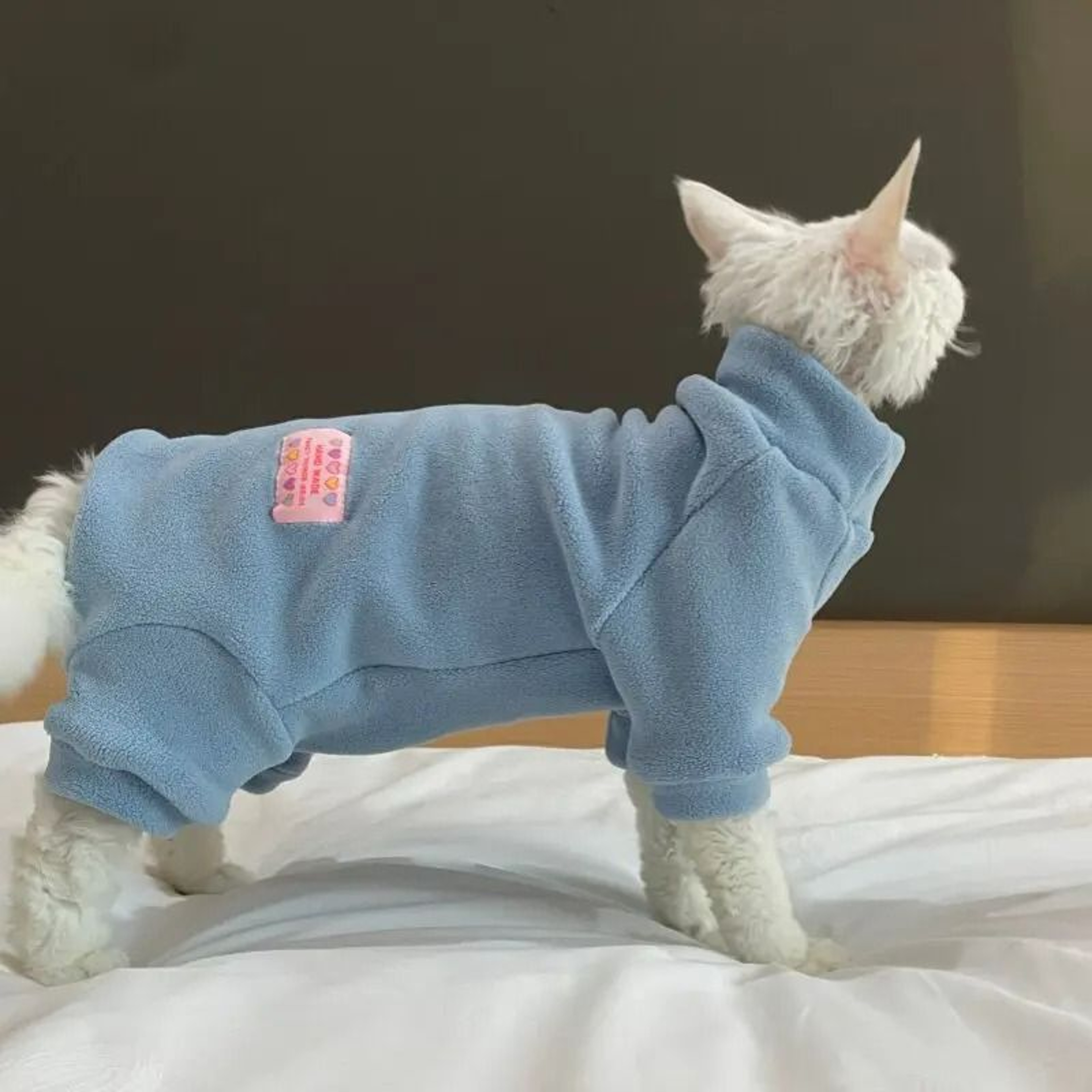 4Legged Warm Fleece Loungewear Jumpsuit For Cats 10